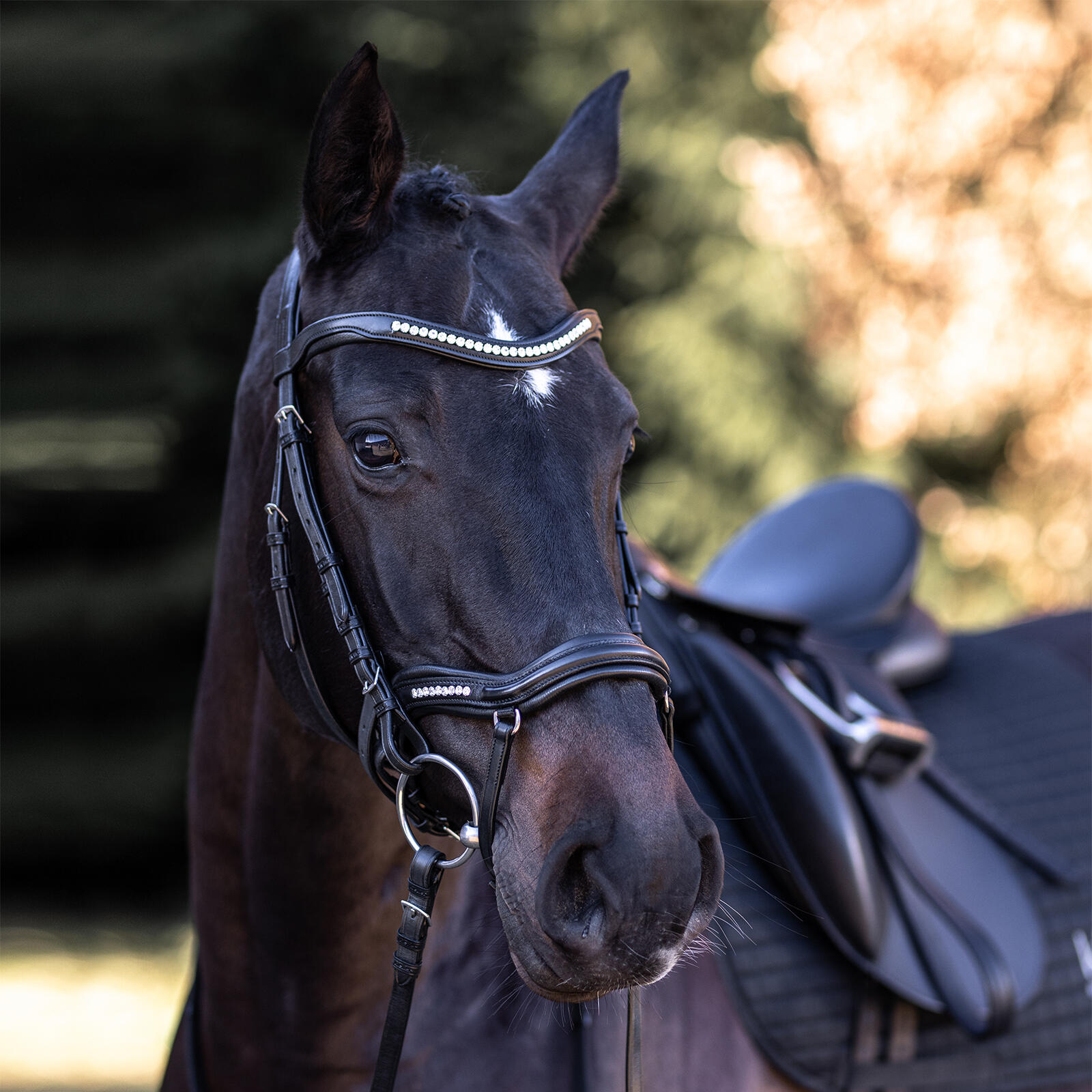Briglia combinata da equitazione con nasello Kieffer Ultrasoft® Luna 5/5