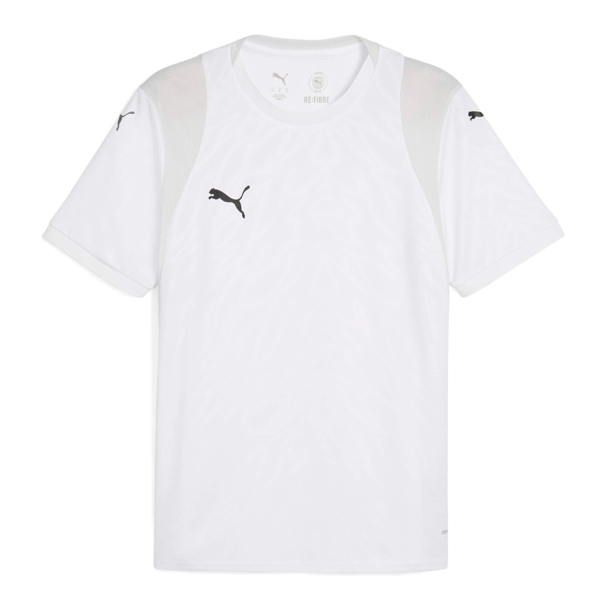 PUMA picture