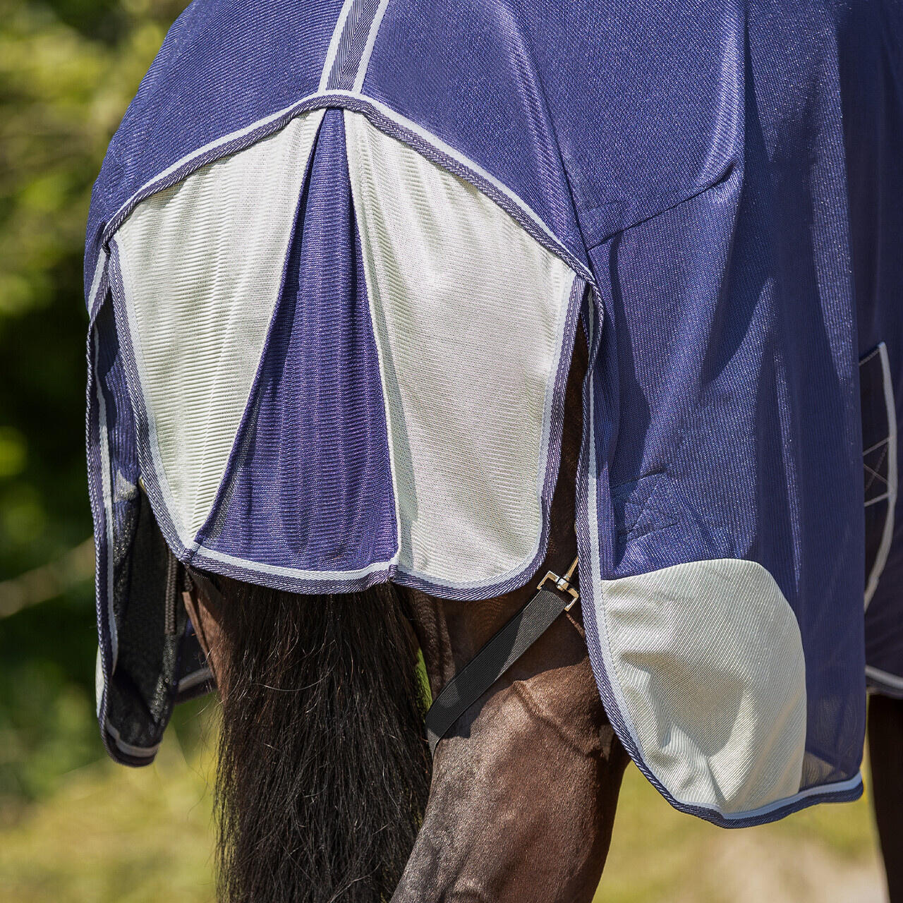 QHP Vliegendeken - Blauw 3/6