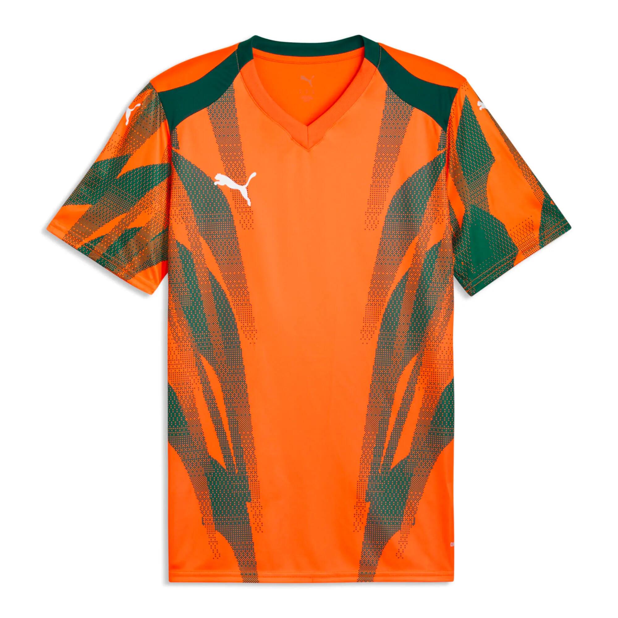 PUMA picture
