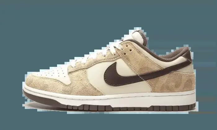 NIKE picture