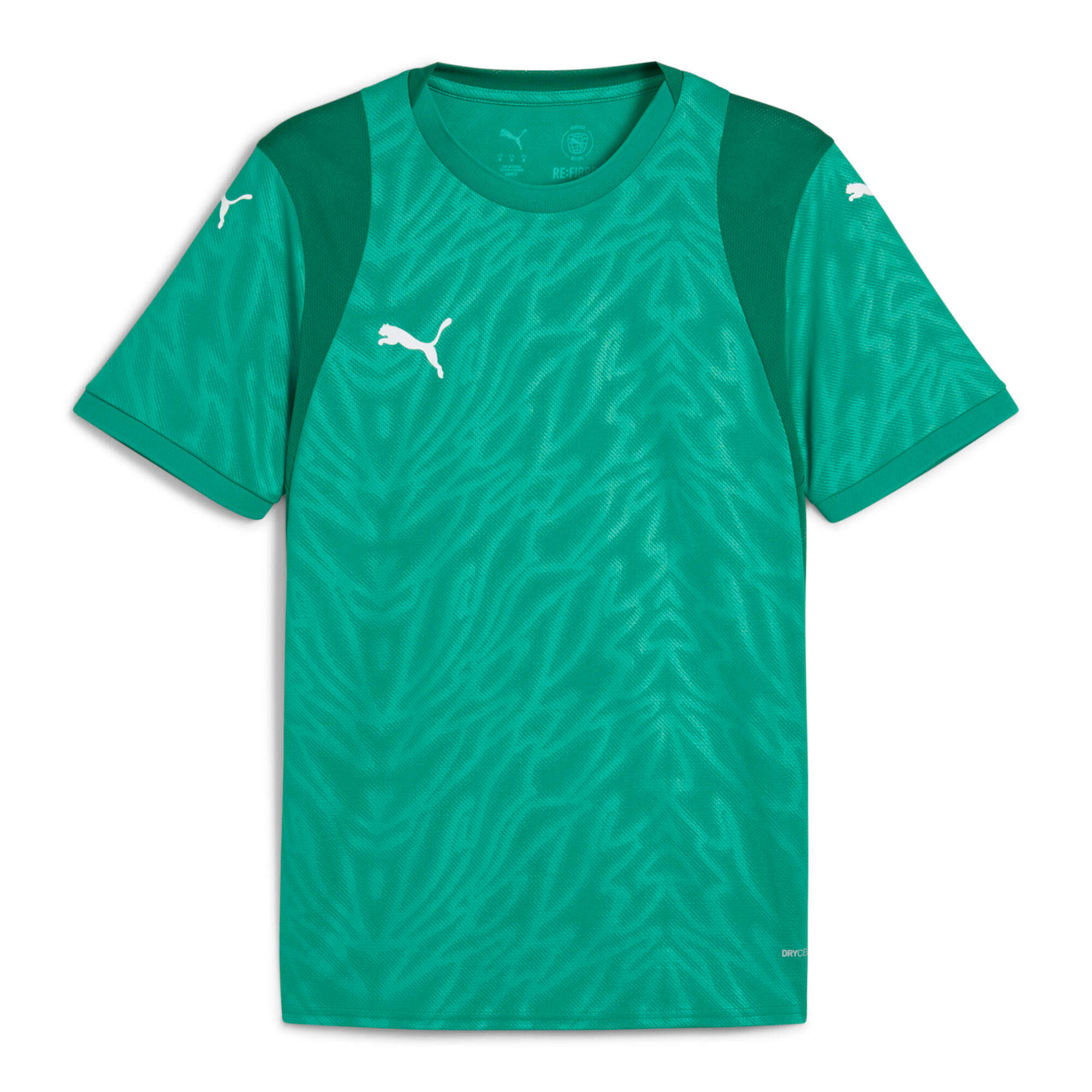 PUMA picture