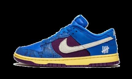 Nike Dunk Low Undefeated 5 On It