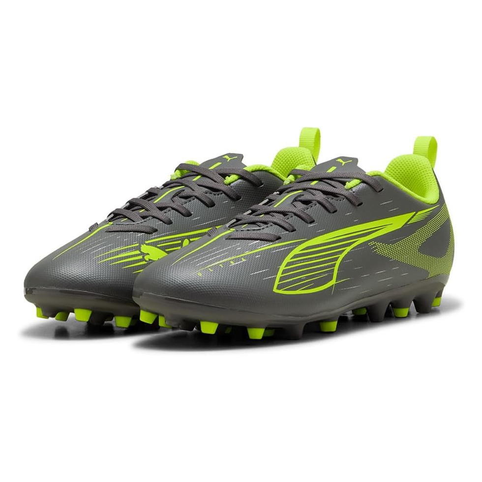 PUMA picture