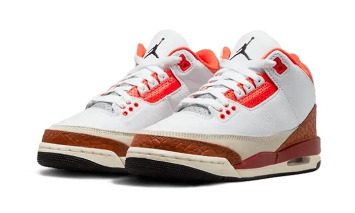 Schoenen - basketbal - air jordan 3 - zwart/marstone 2/3