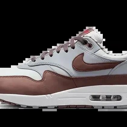 Nike Air Max 1 Premium Shima Shima (2023)