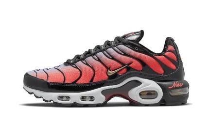 Nike Air Max Plus Sisterhood