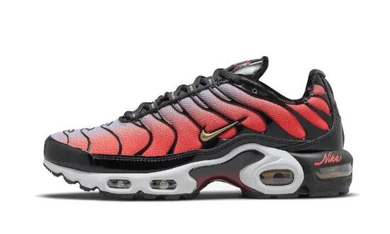Nike Air Max Plus Sisterhood