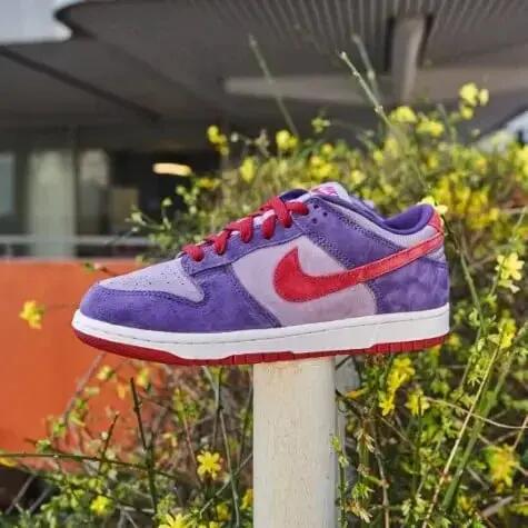Nike Dunk Low Plum (2020/2024) 7/7