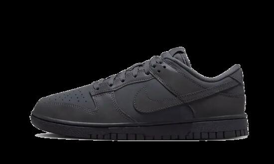 Scarpe - lifestyle - riflettenti basse - dunk low - antracite/racer blu-nero