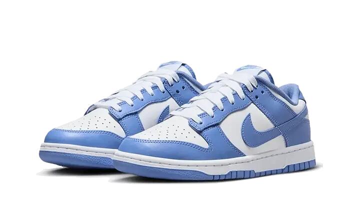 Nike Dunk Low Polar Blue 2/4