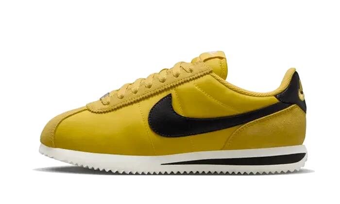 NIKE picture