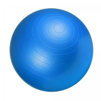 Fitnessbal ø 65 cm - incl. pomp - gym bal - yoga - belastbaar tot 500 kg - blauw