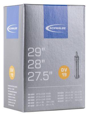 SCHWALBE picture