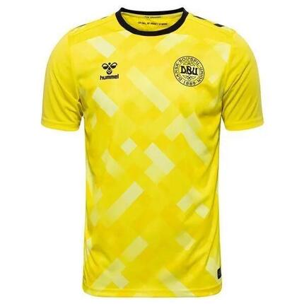 Maillot du gardien de but Danemark 2024