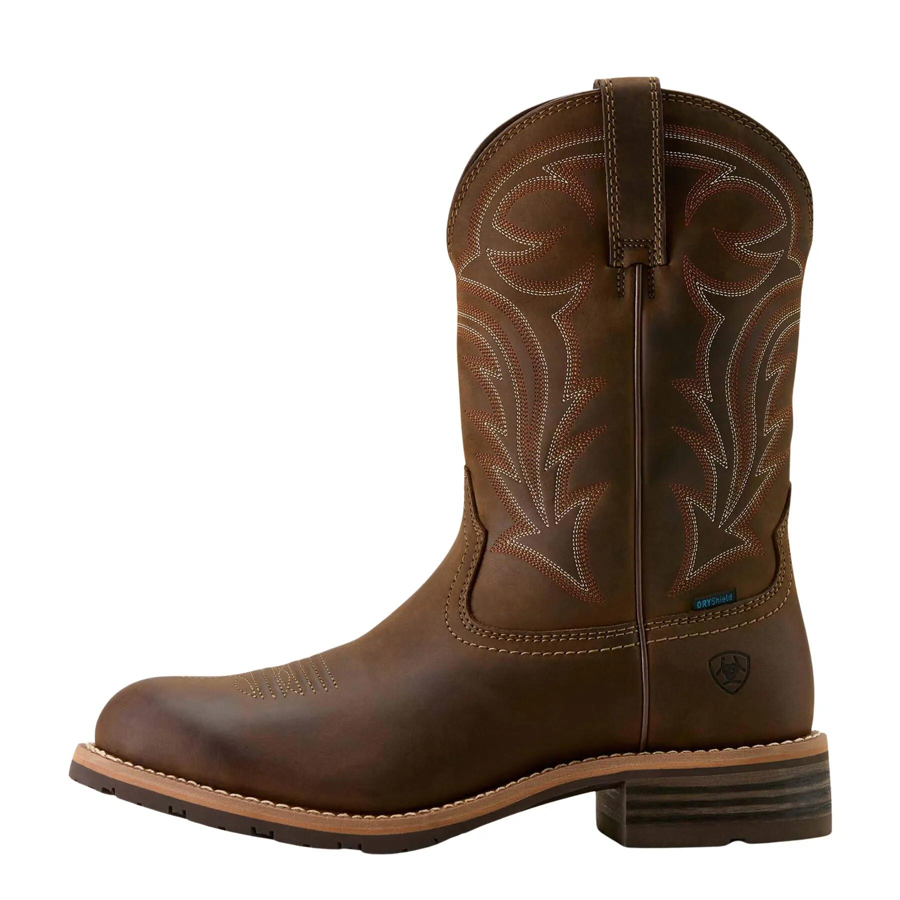 ARIAT picture