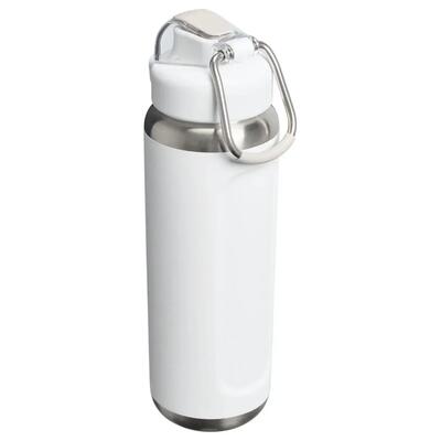 Fles stanley wellspring