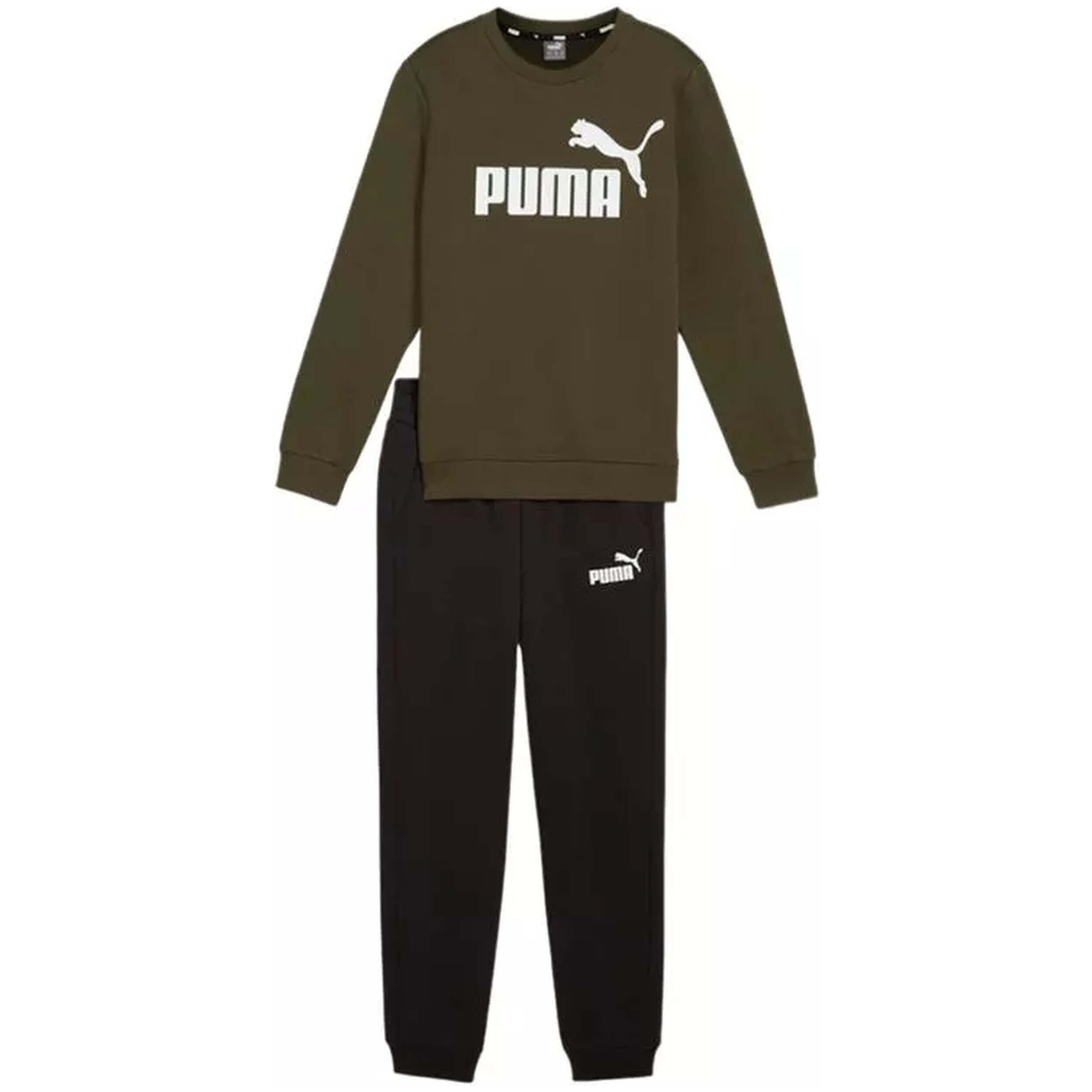 PUMA picture