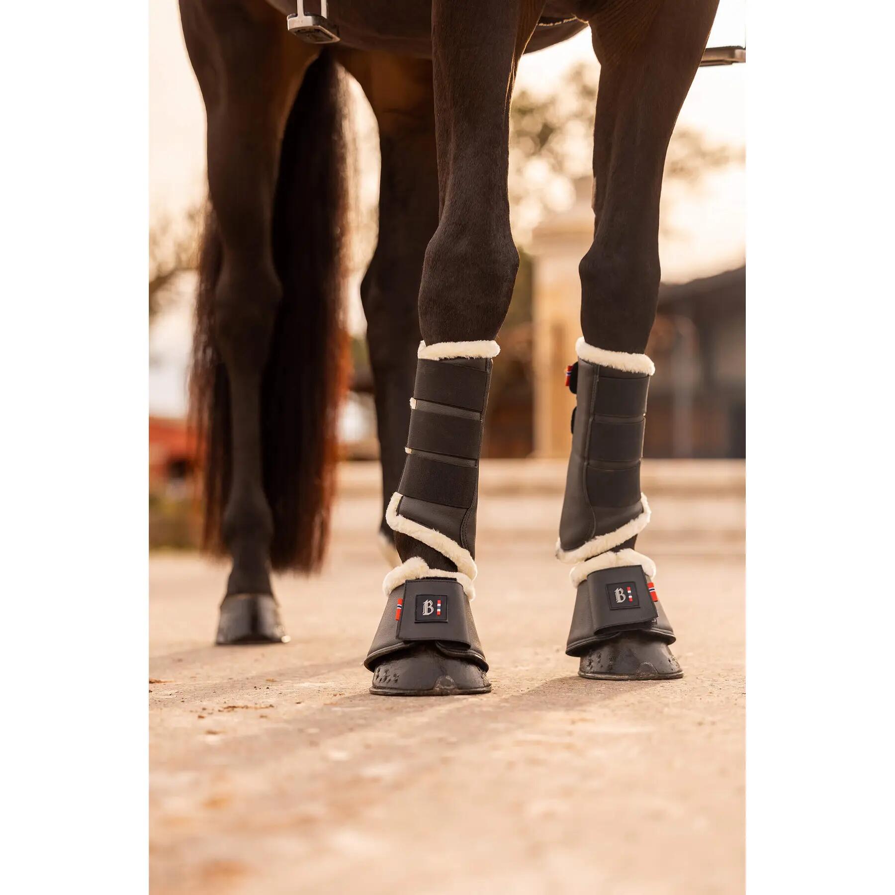 Paardenbellen B Vertigo Wellington 3/4