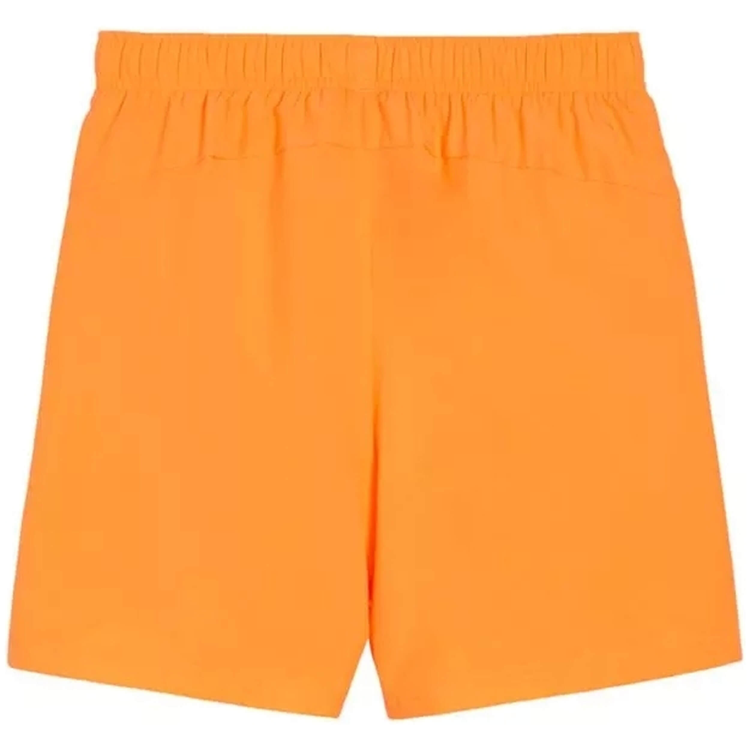 Pantalon corto Puma modelo 679233-46 para hombre 2/2