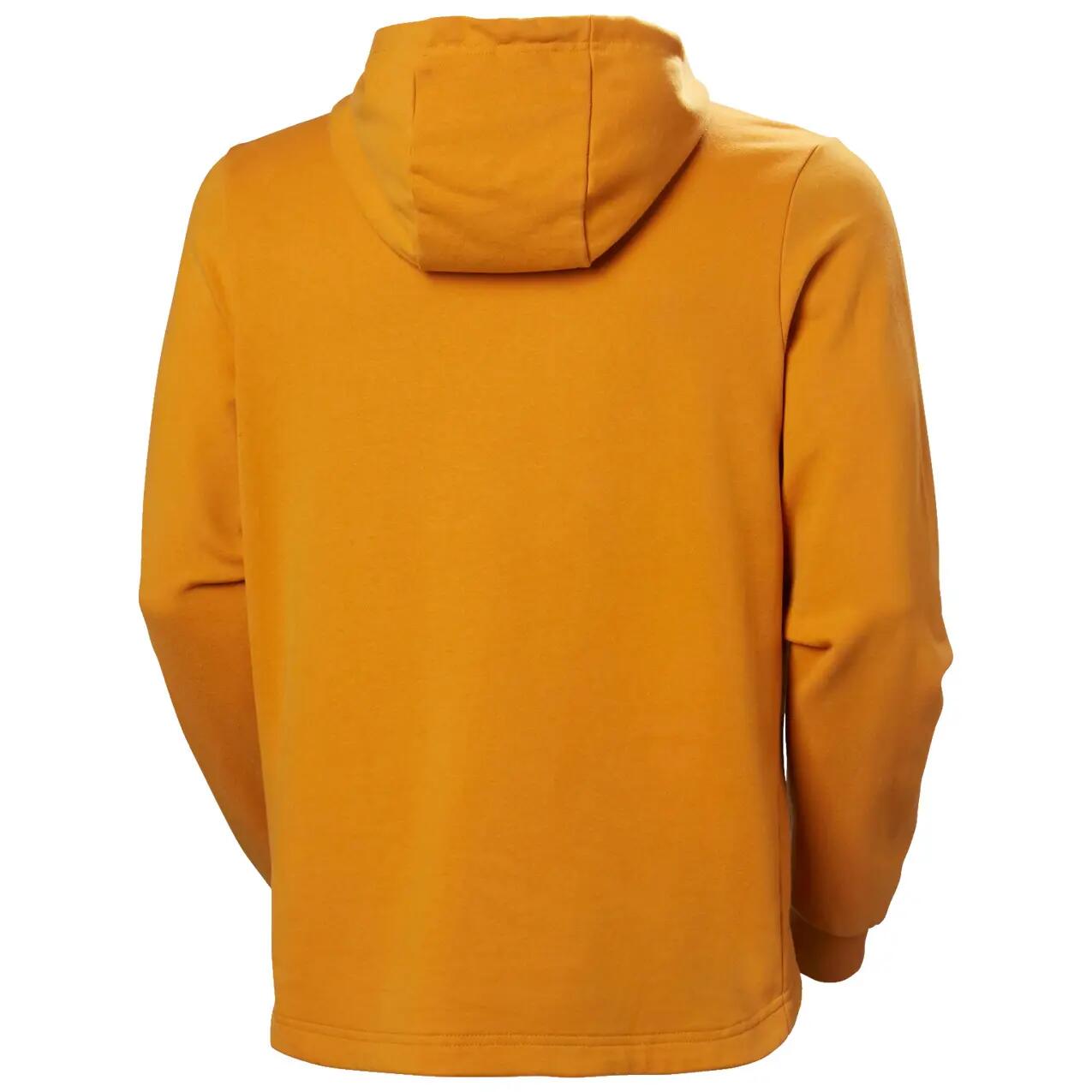 Felpa con cappuccio Helly Hansen Arctic Ocean 2.0 3/6