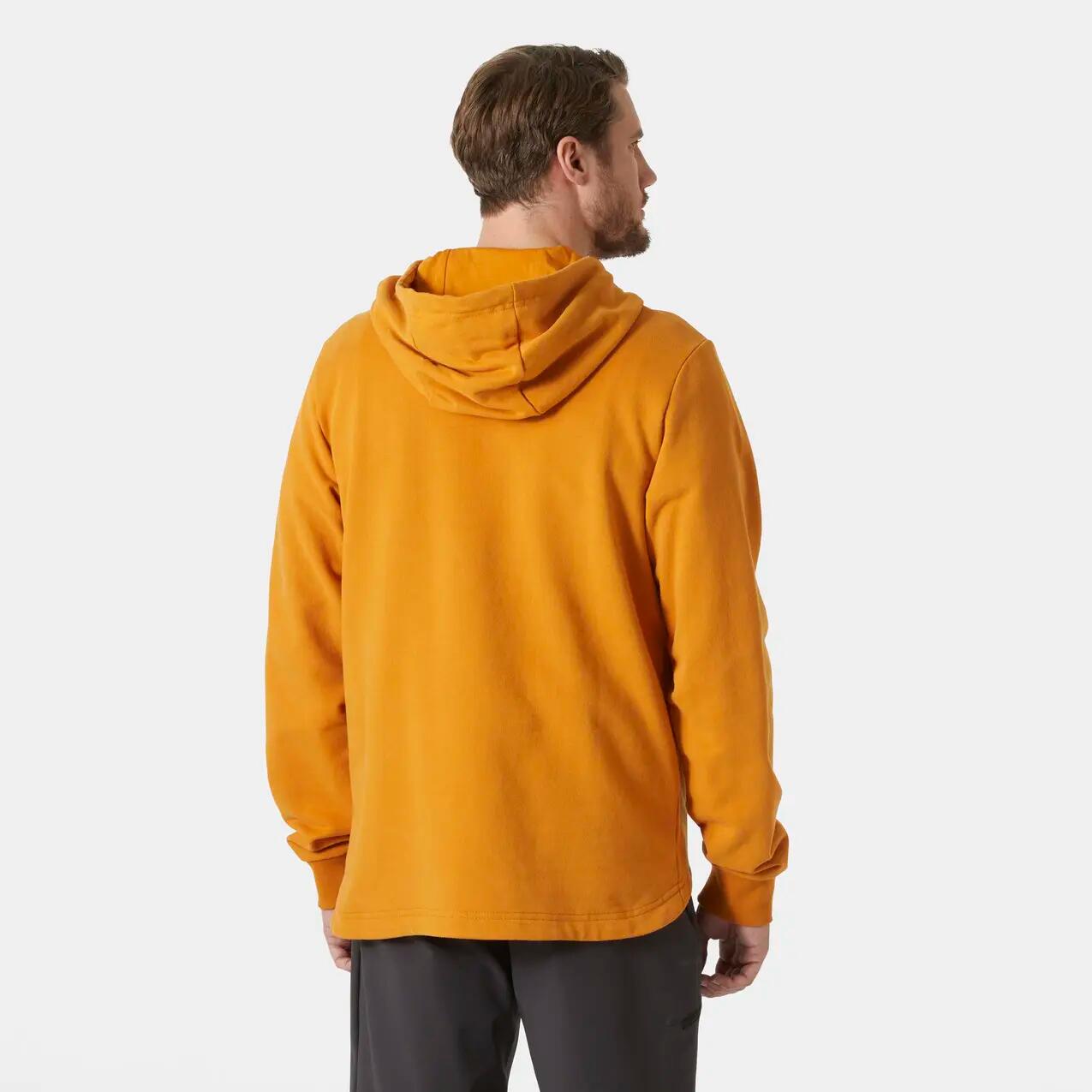 Felpa con cappuccio Helly Hansen Arctic Ocean 2.0 4/6