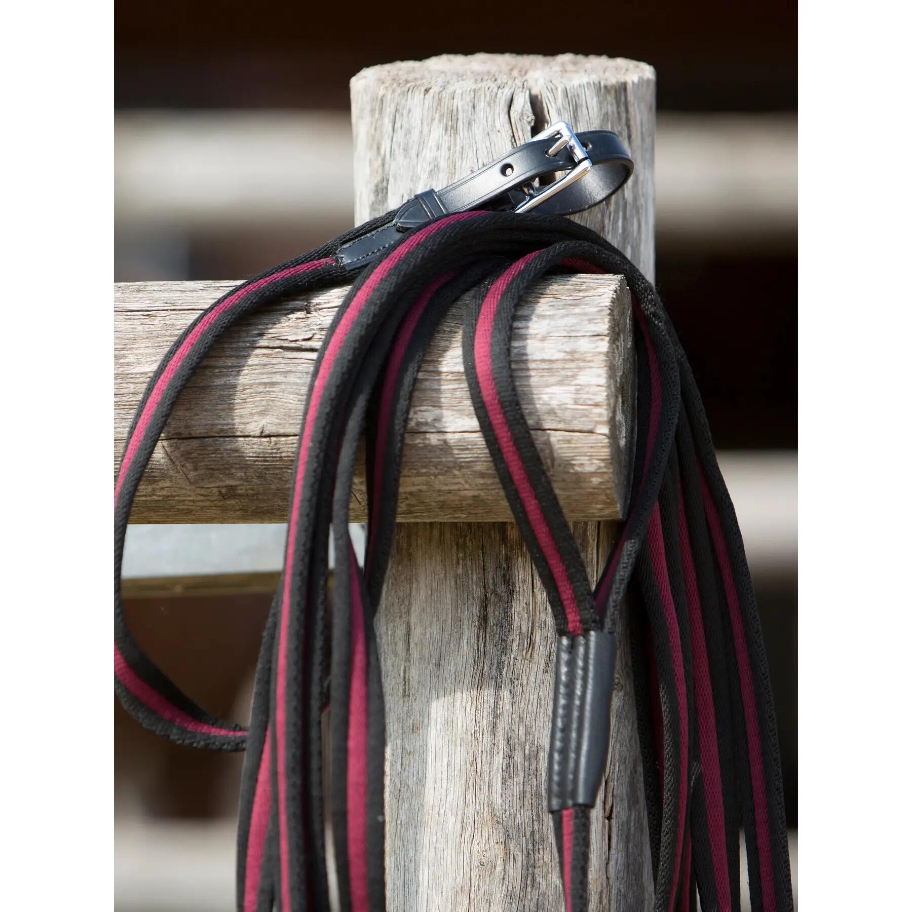 Lunghina cavallo Kieffer Anja Beran 2/3