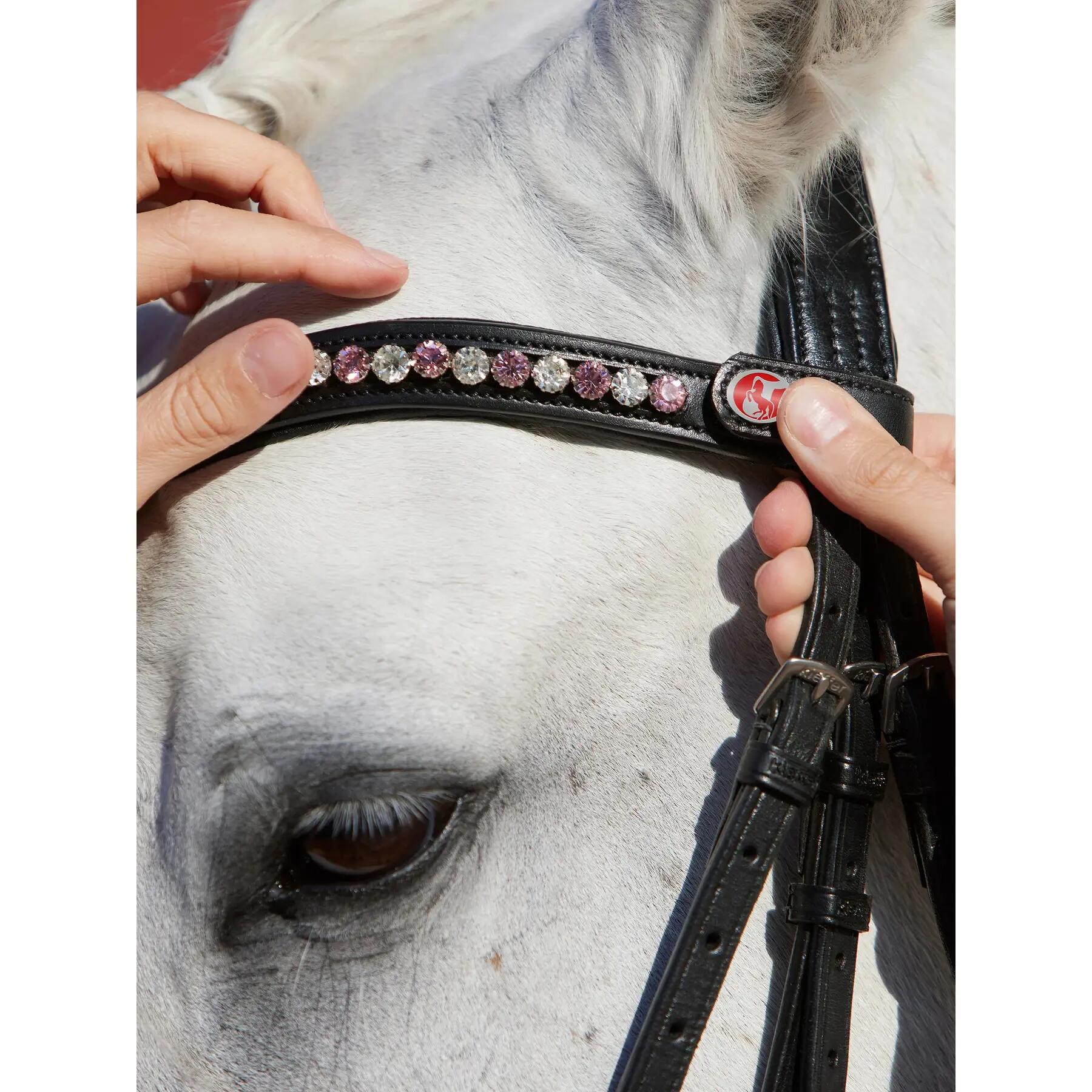 Bride équitation chaîne fumée Kieffer Flexiloop Luxe curved browband lined 3/3