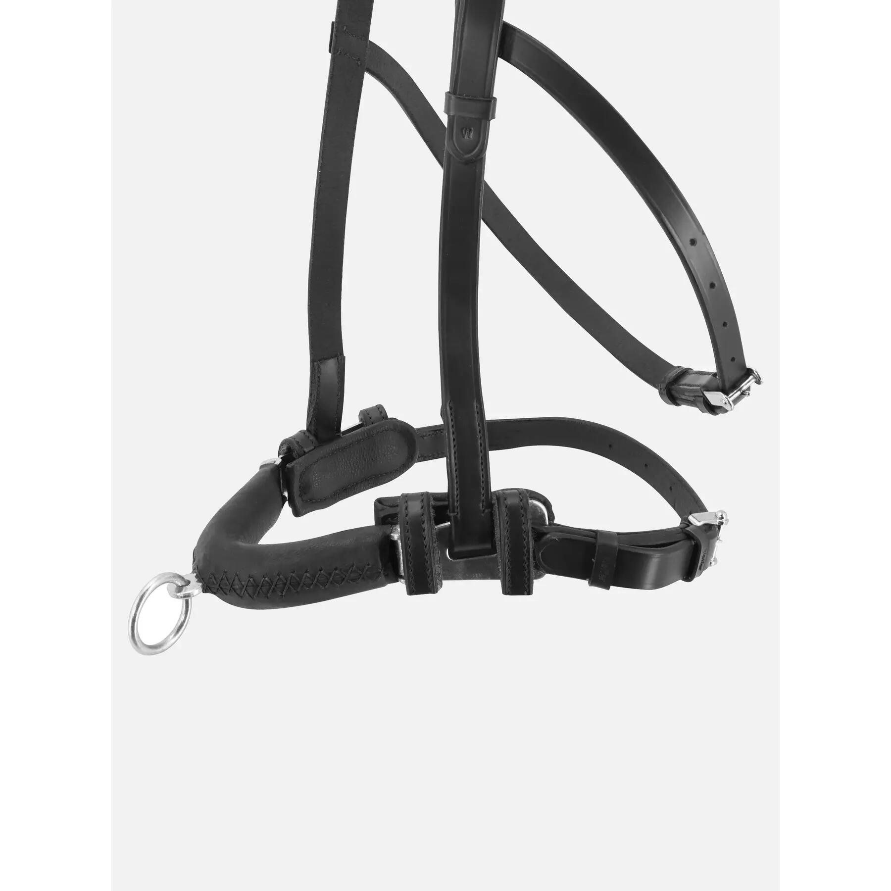 Caveçon pour cheval Kieffer Anja Beran 2/6