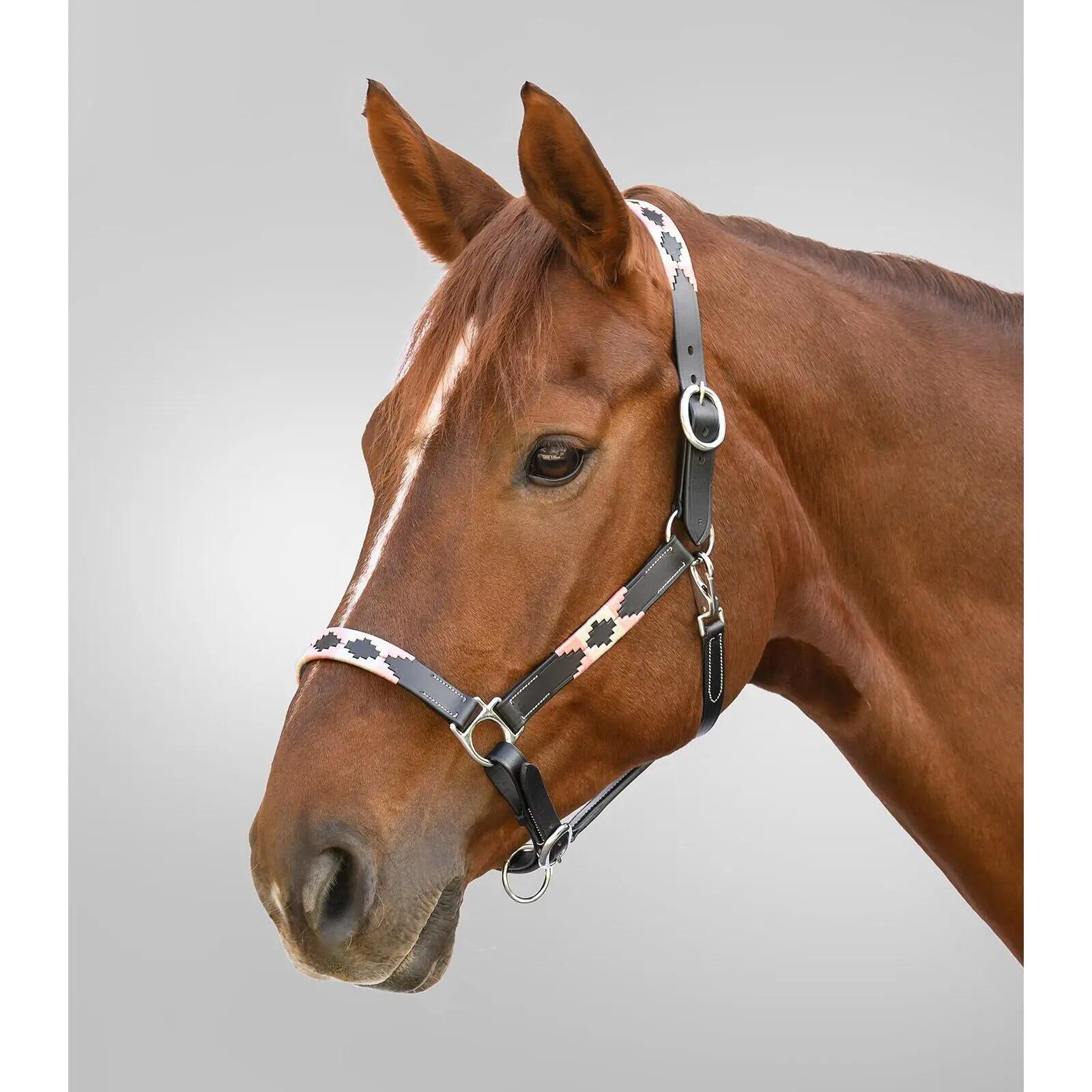 Halster voor paarden Waldhausen X-Line Polo 2/3