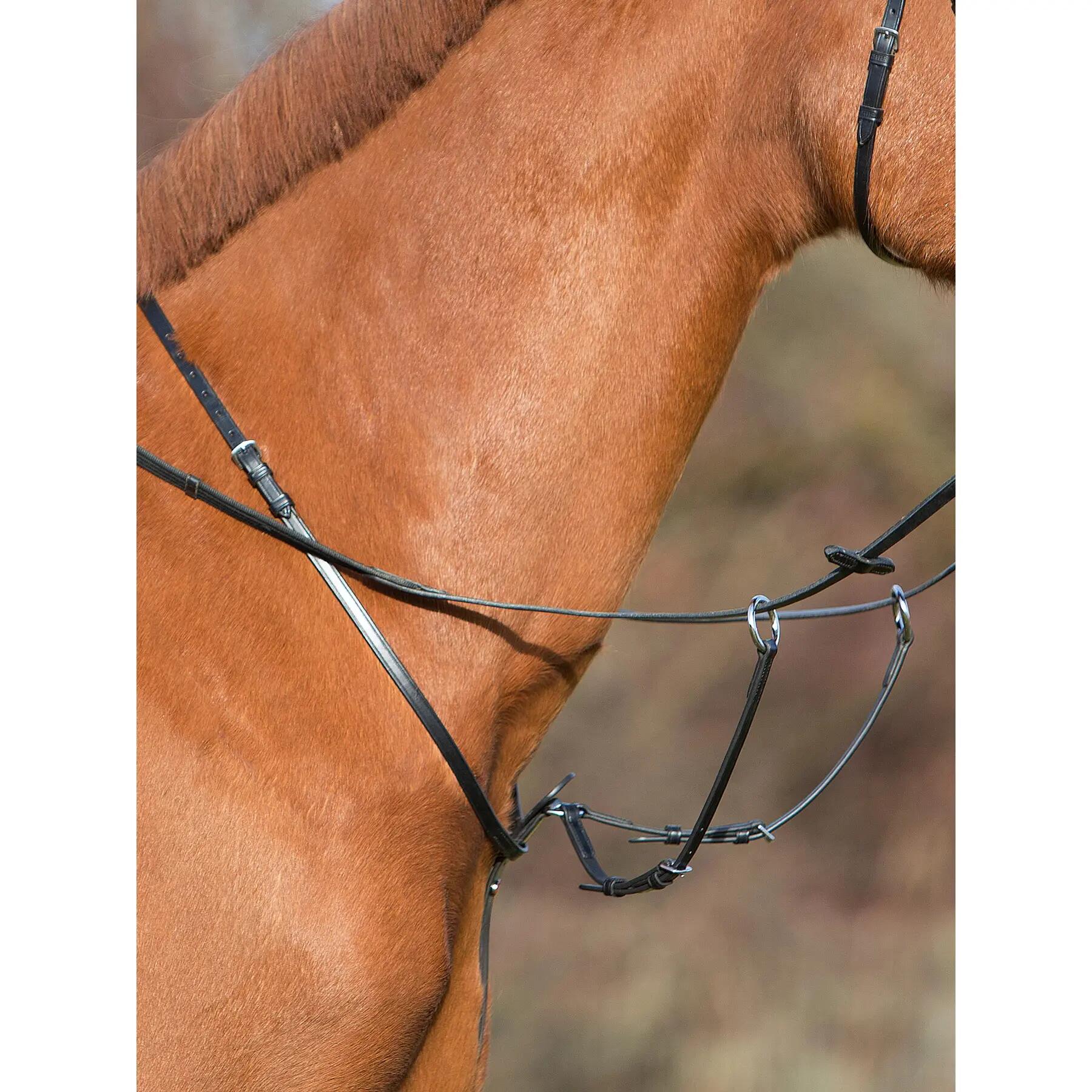 Martingale pour cheval Kieffer with adjustable fork 2/2