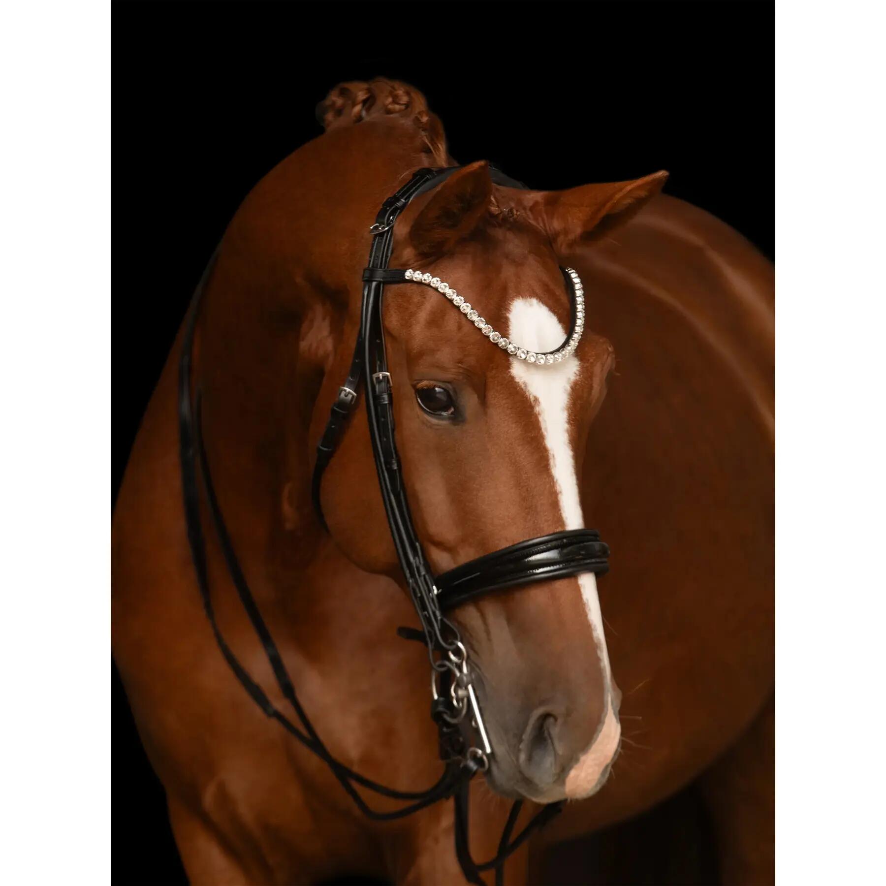 Briglia doppia Kieffer Faye with square chrome buckles 5/5