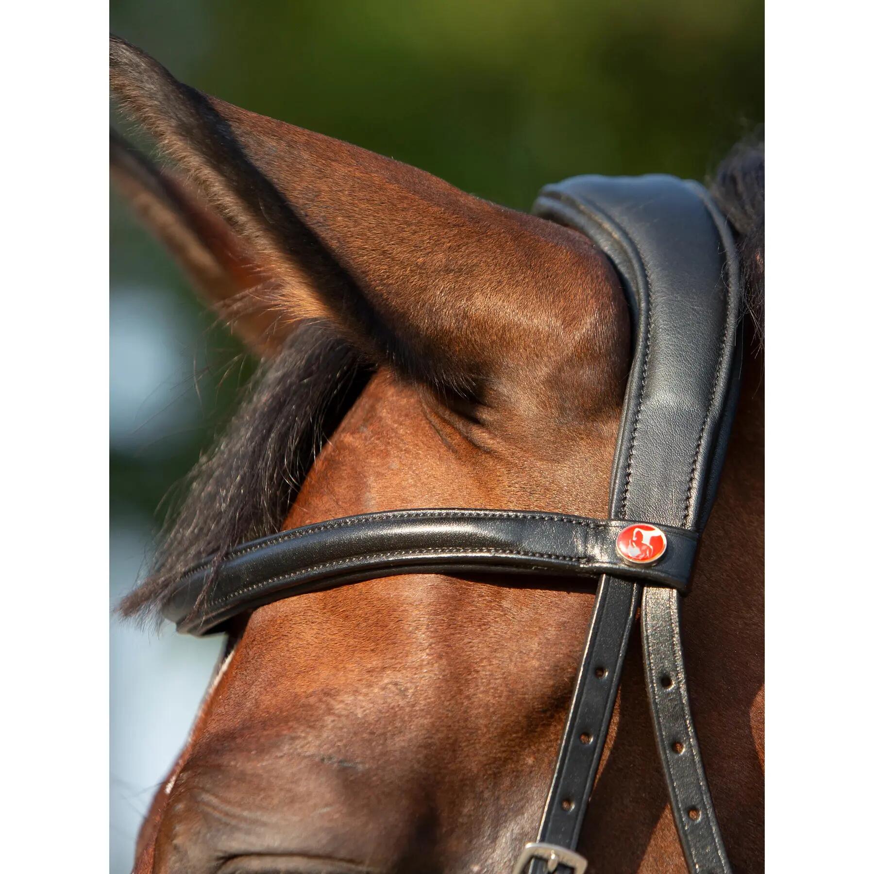 Briglia senza morso per cavalli Kieffer Ultrasoft® Kendra buckles on both sides 5/5