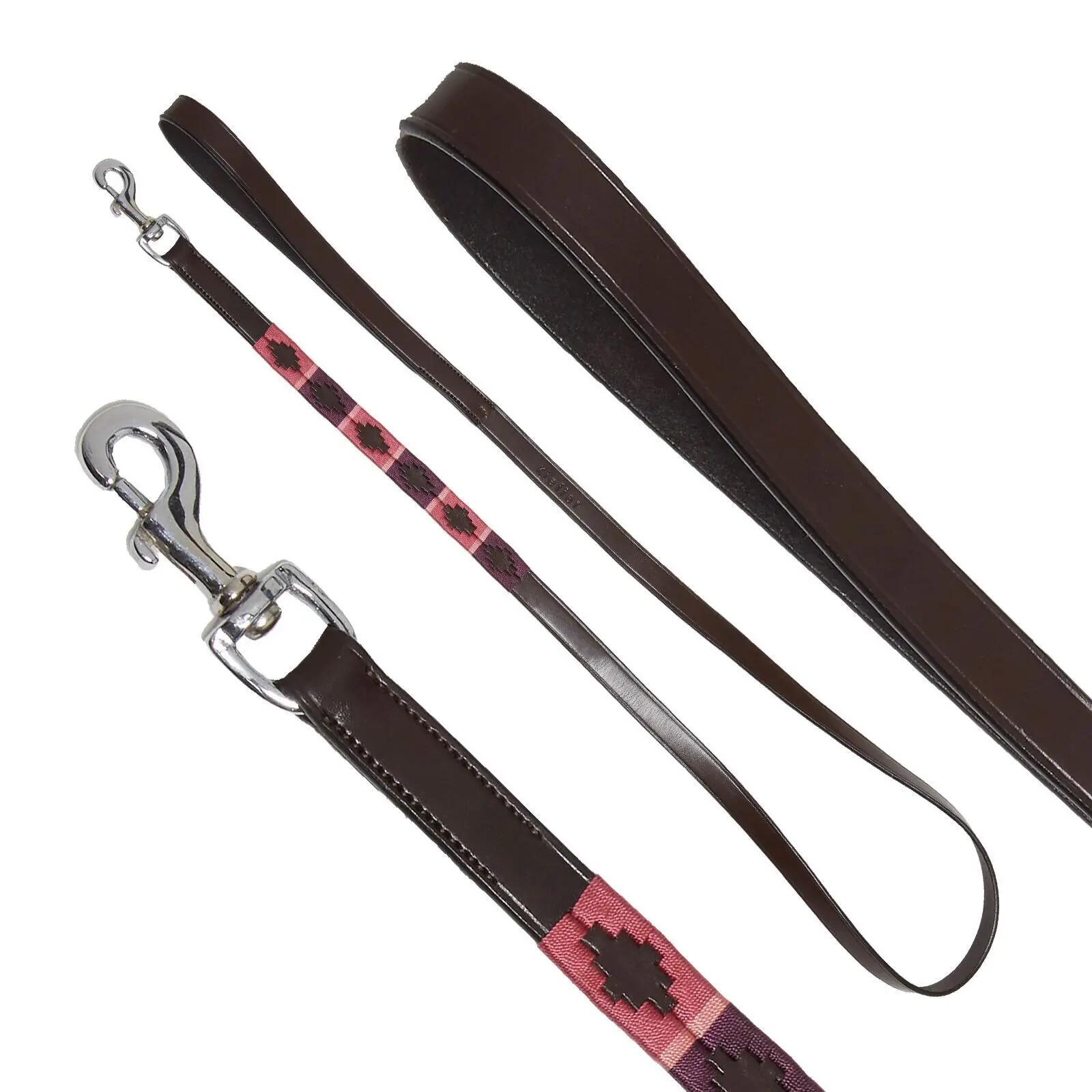 Laisse pour chien Kieffer Buenos Aires with chrome fittings 2/2