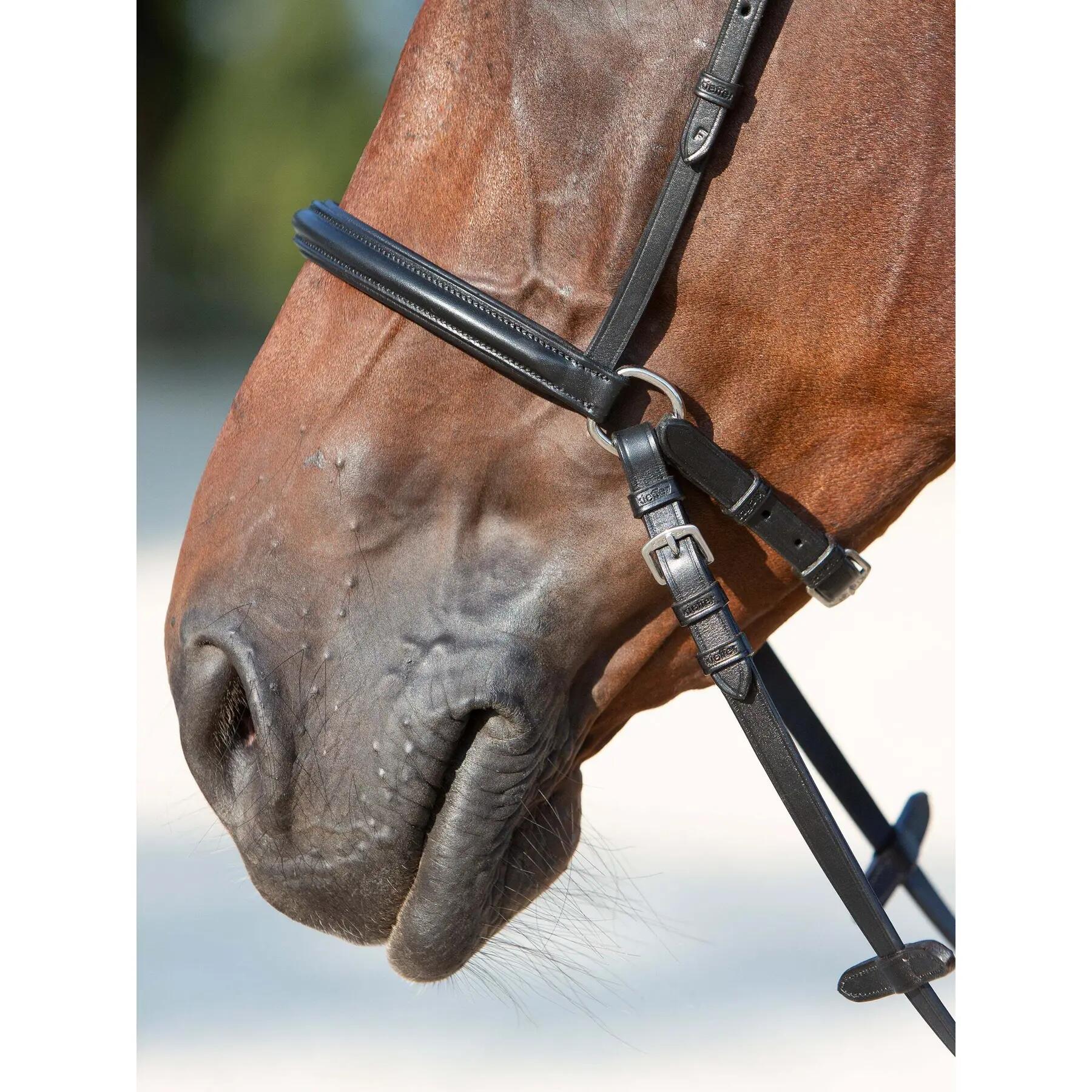 Briglia senza morso per cavalli Kieffer Ultrasoft® Kendra buckles on both sides 4/5