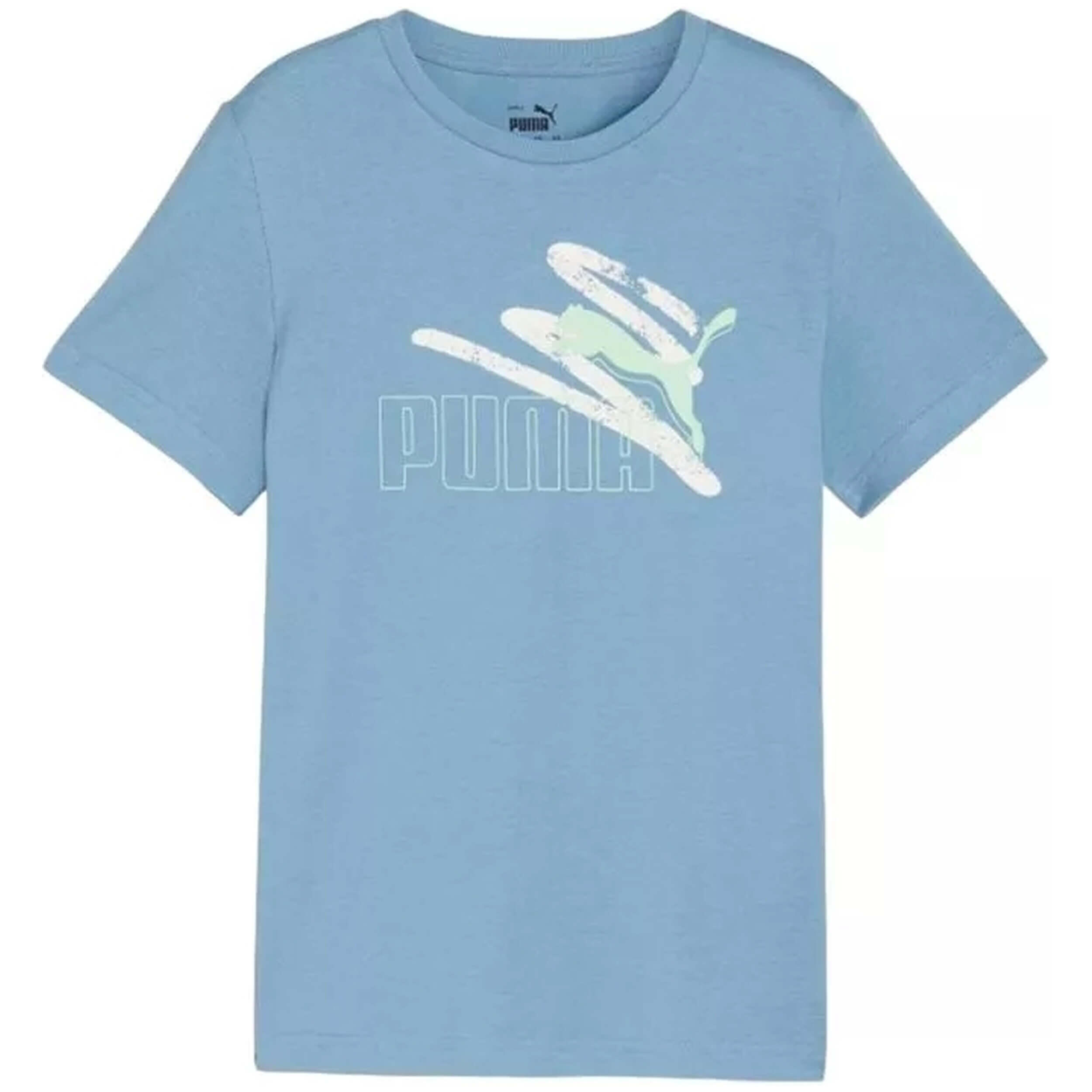 PUMA picture