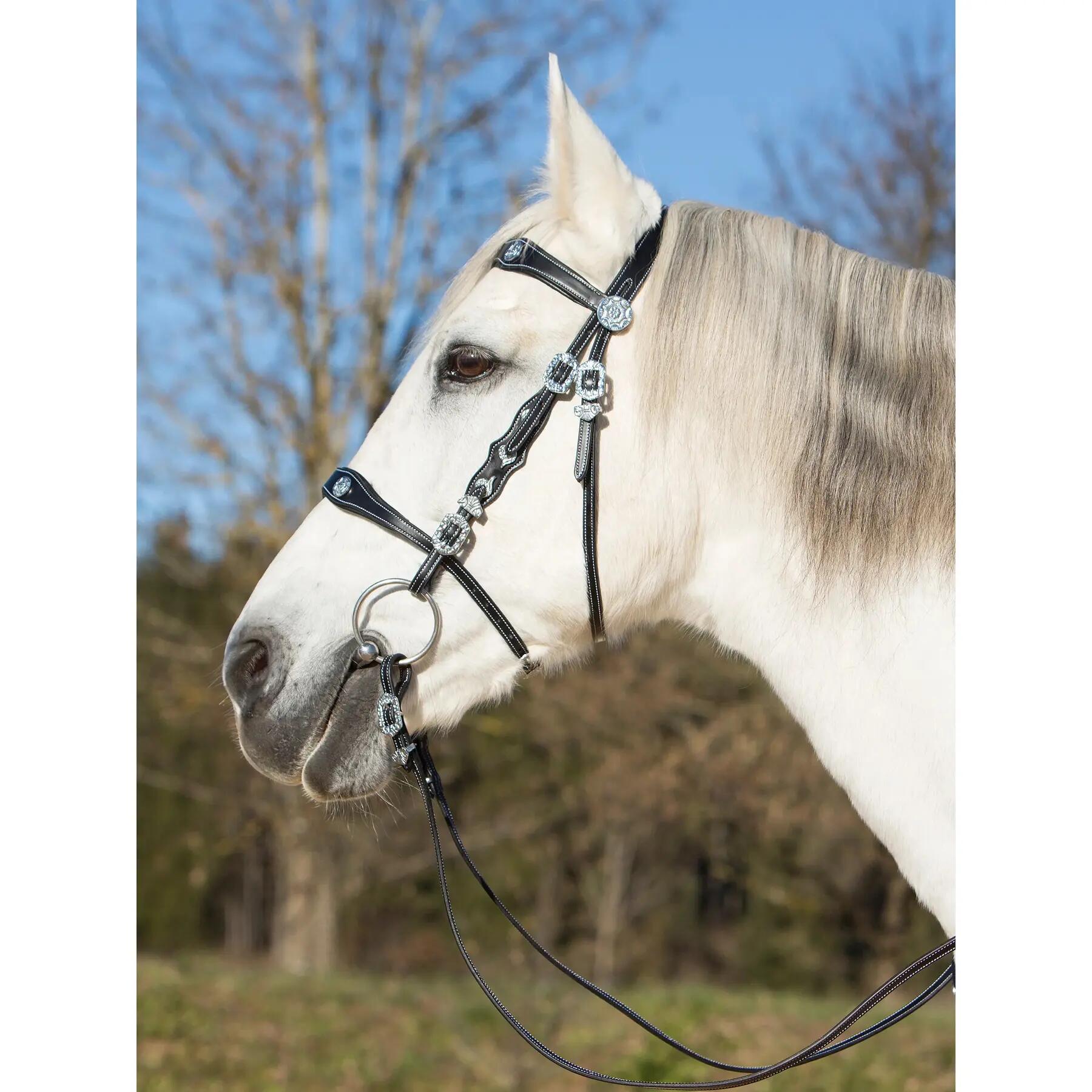 Briglia da equitazione Kieffer Isabella with leather reins 2/6