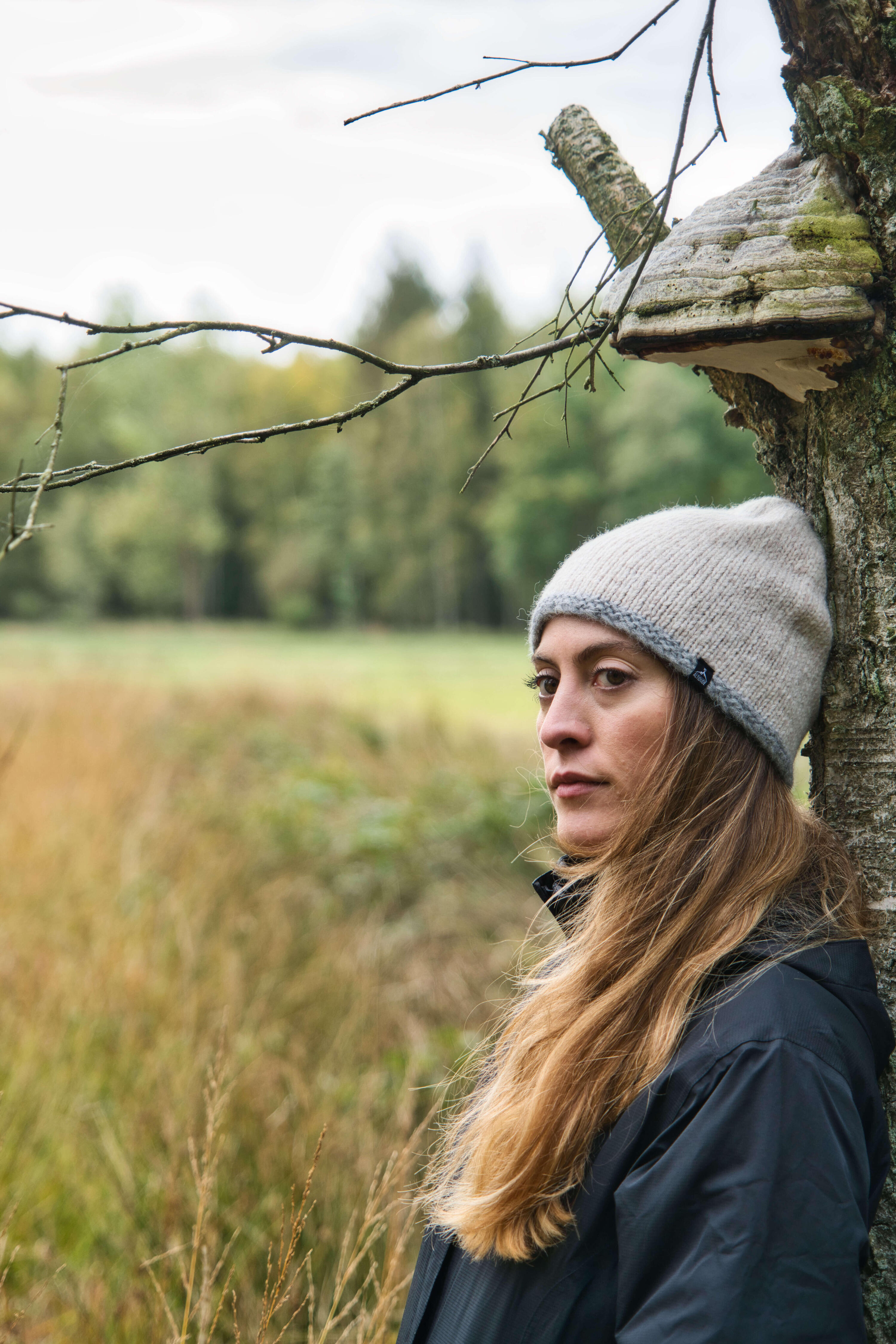 Pilgrim – Brown 5/6