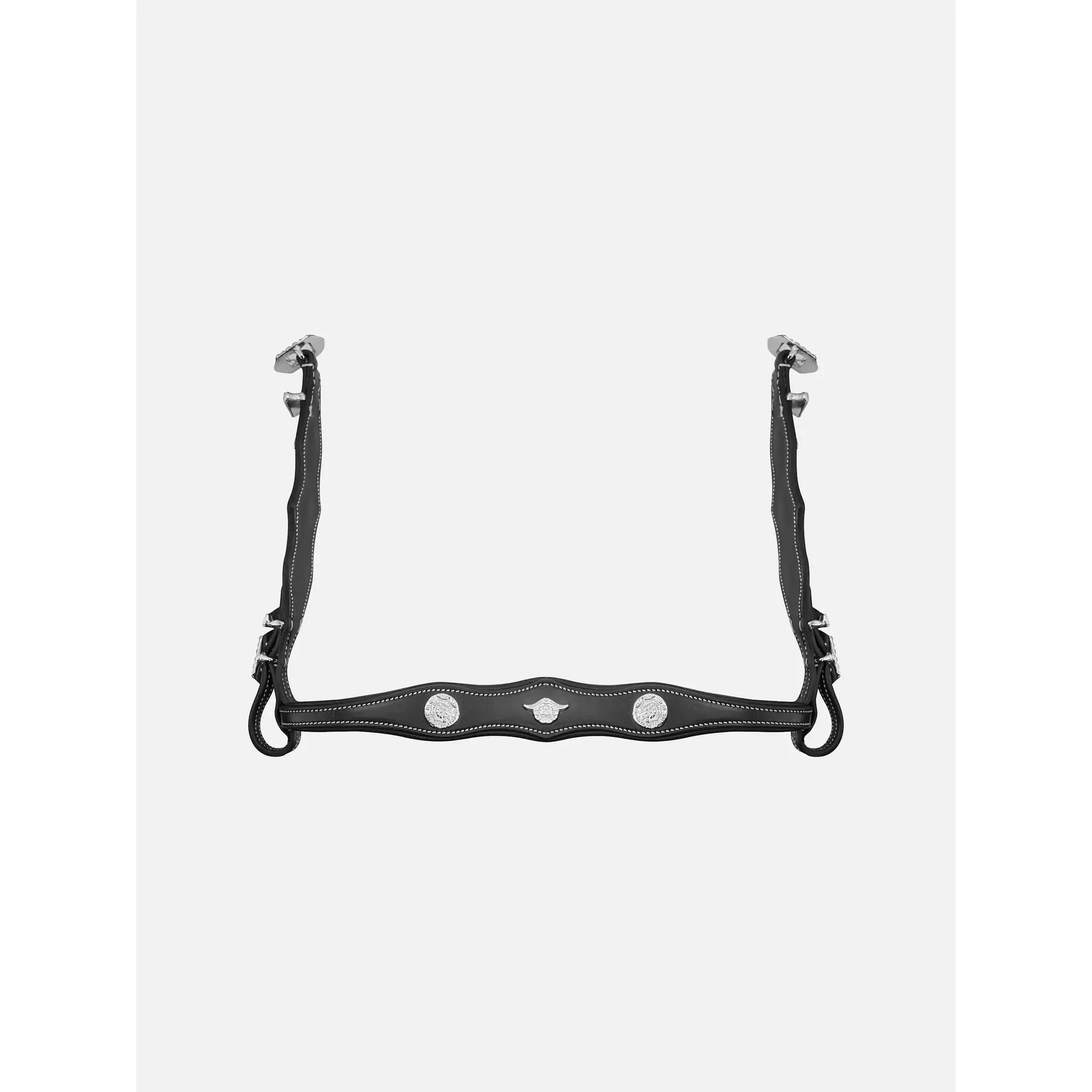 Briglia da equitazione Kieffer Isabella with leather reins 5/6