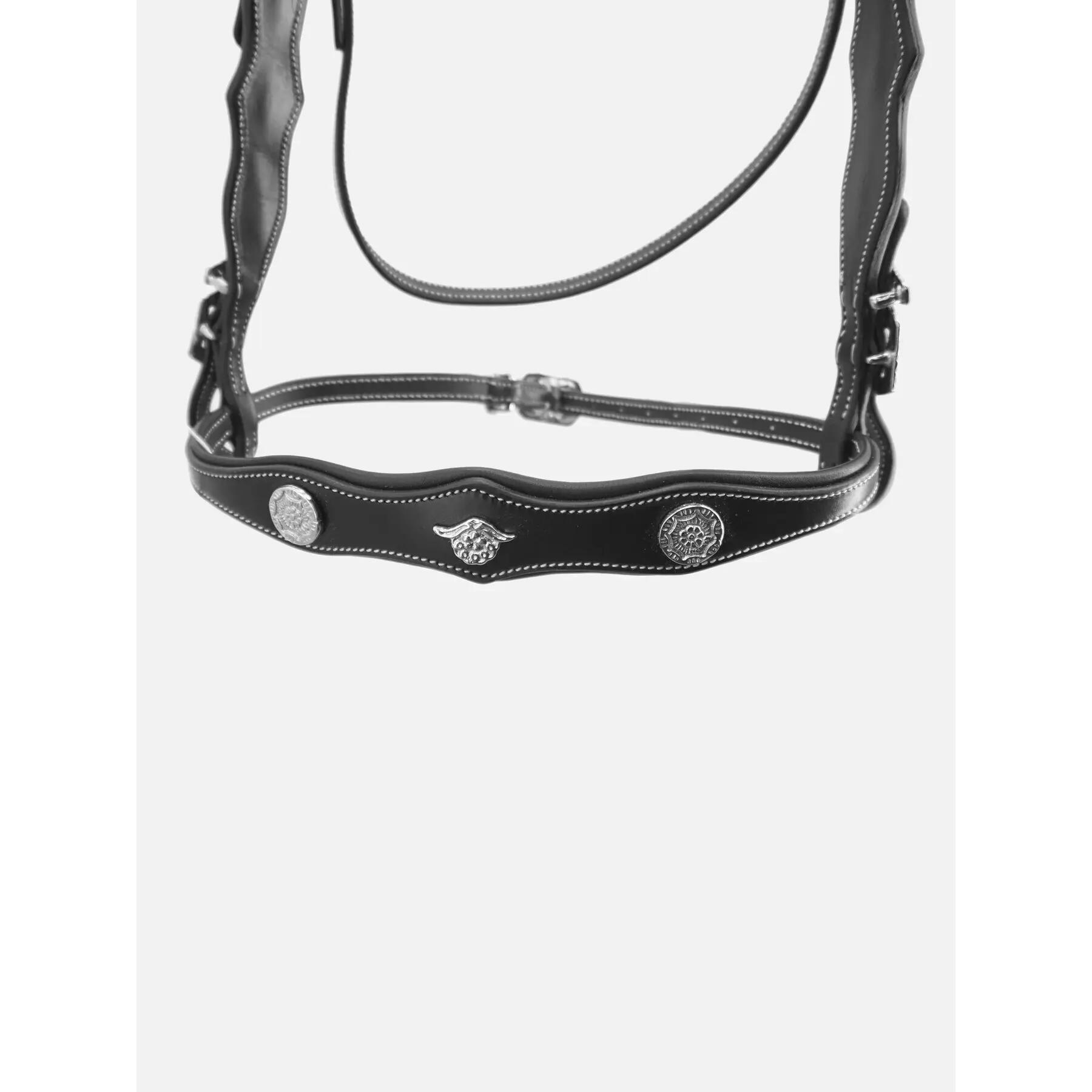 Briglia da equitazione Kieffer Isabella with leather reins 4/6