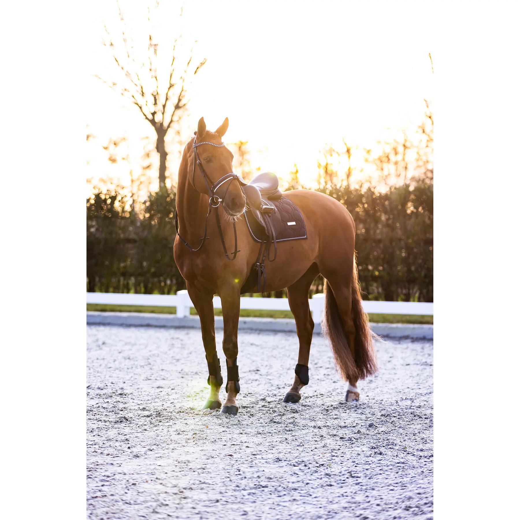 Guêtres fermées pour cheval Imperial Riding Lovely 3/4