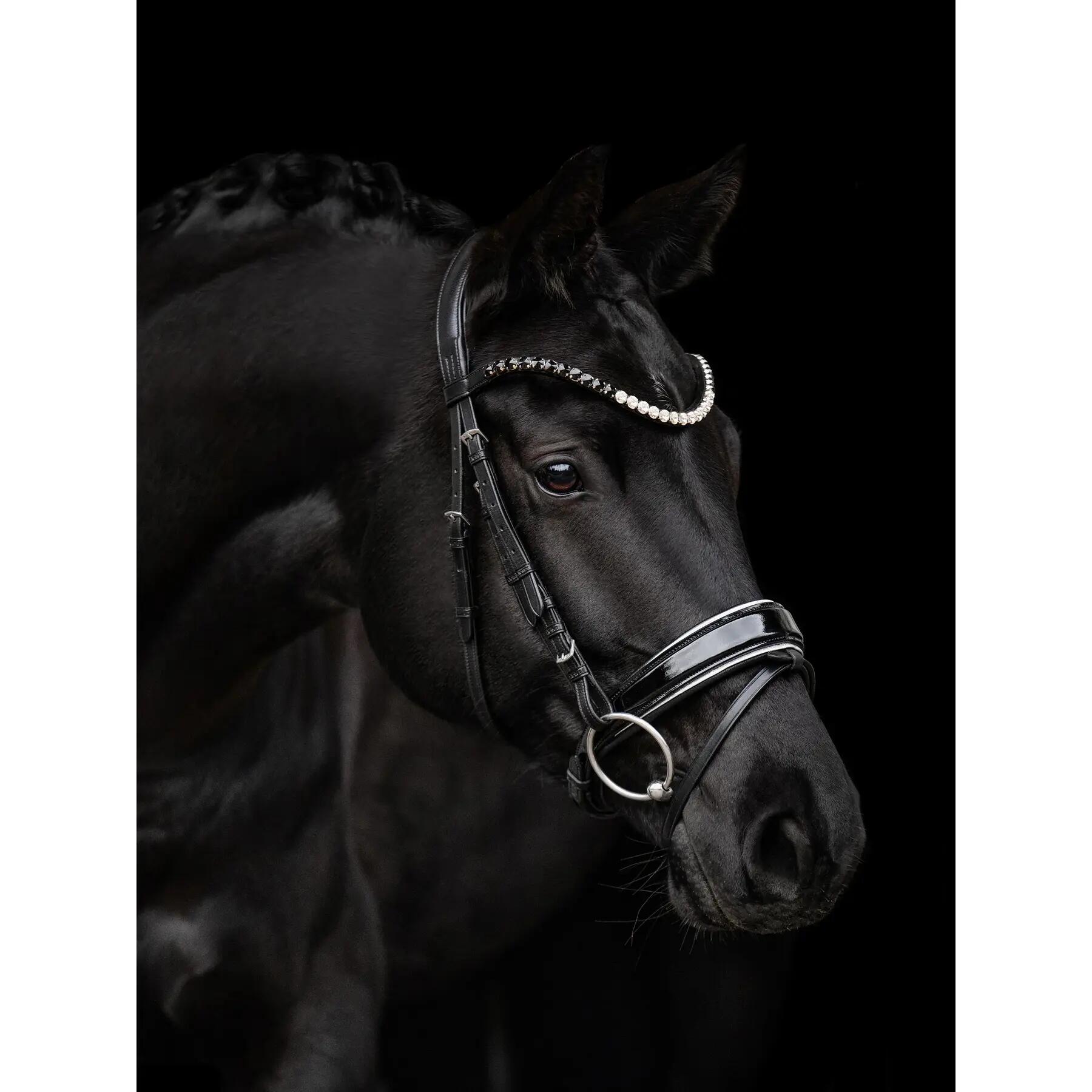 Bridon équitation Kieffer Nora 2/4