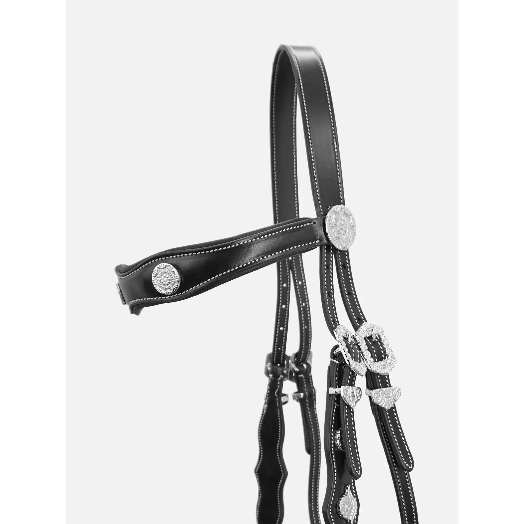 Briglia da equitazione Kieffer Isabella with leather reins 3/6