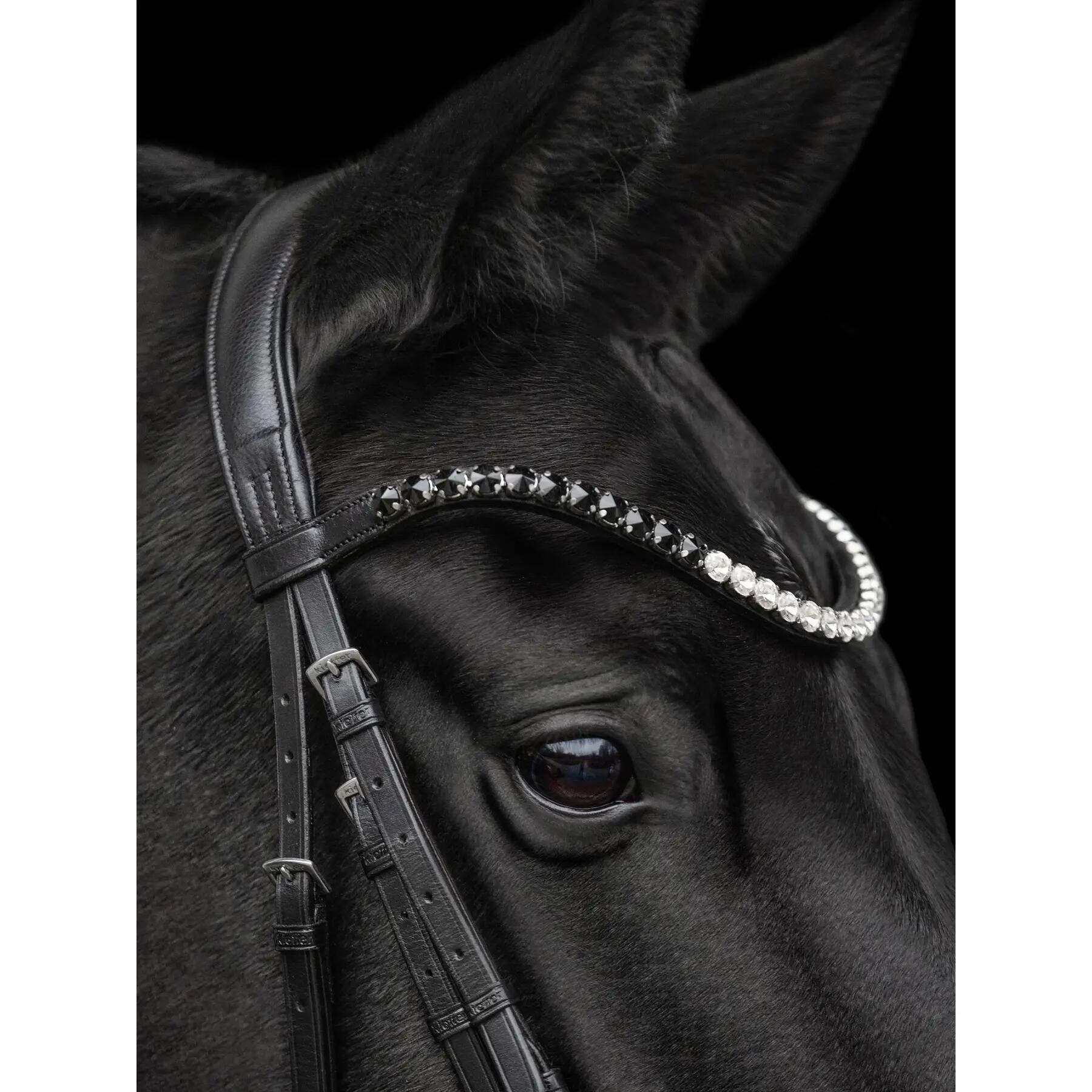 Bridon équitation Kieffer Nora 3/4