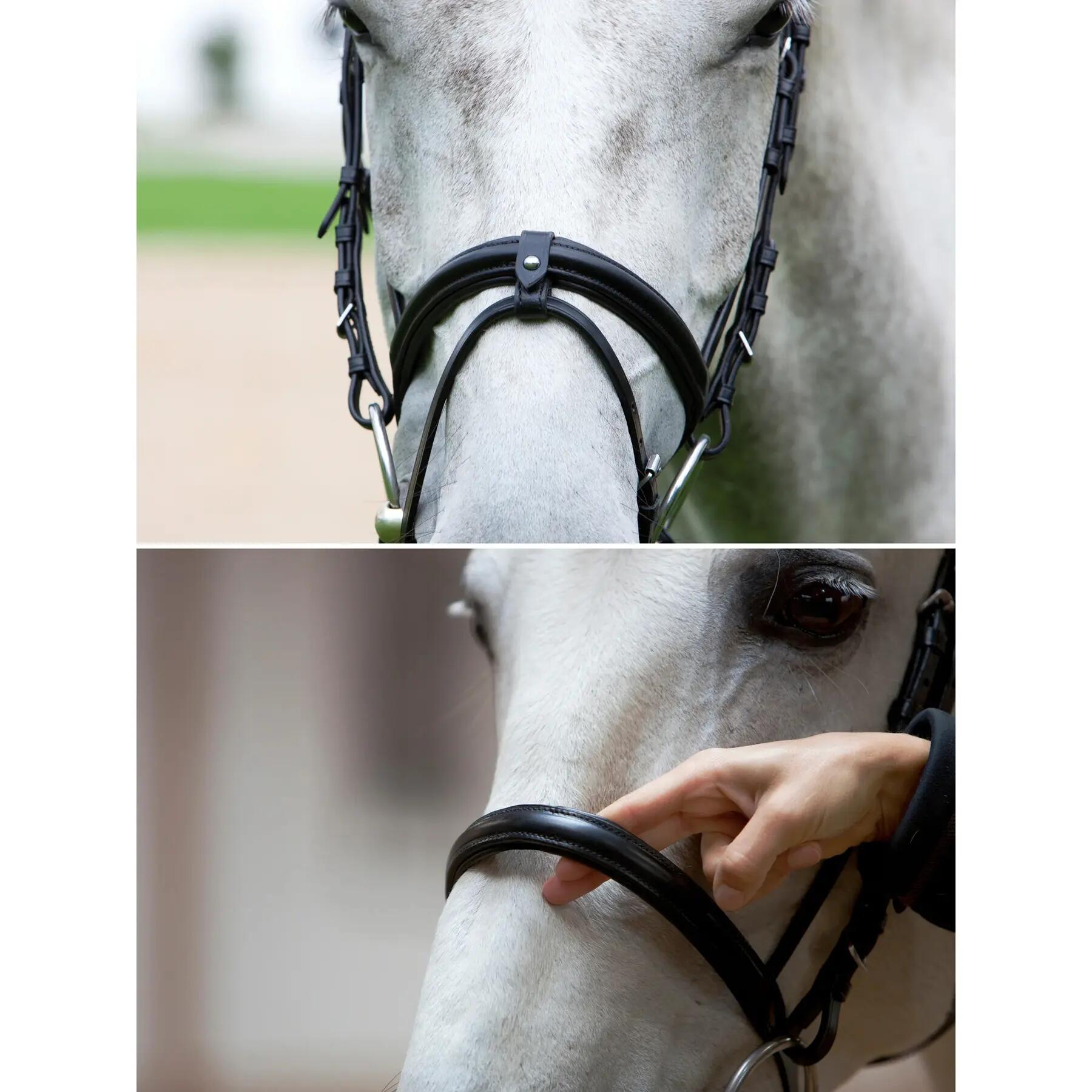 Cabezada de montar Kieffer Anja Beran combined noseband and chip pad 2/4