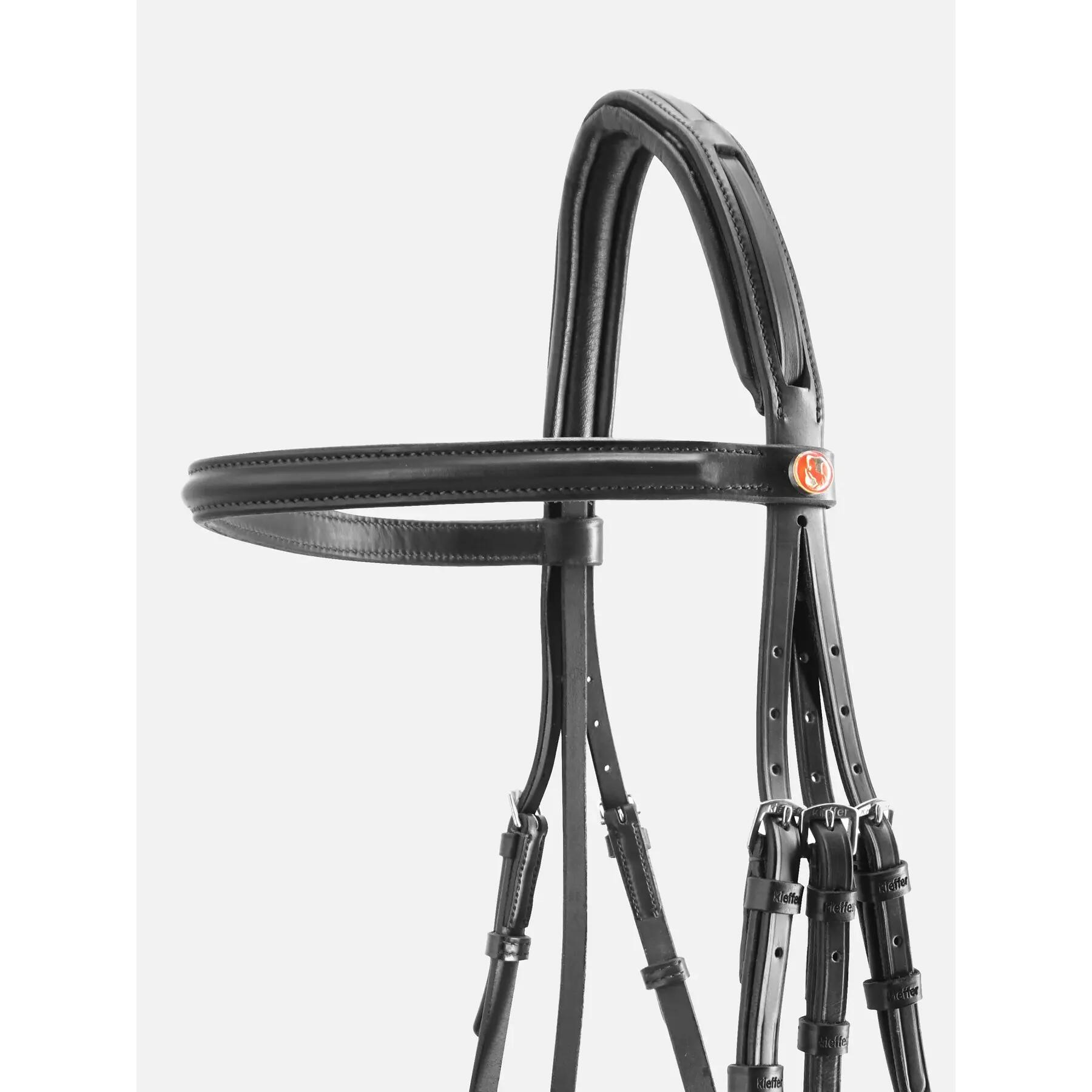Cabezada de montar Kieffer Anja Beran combined noseband and chip pad 4/4
