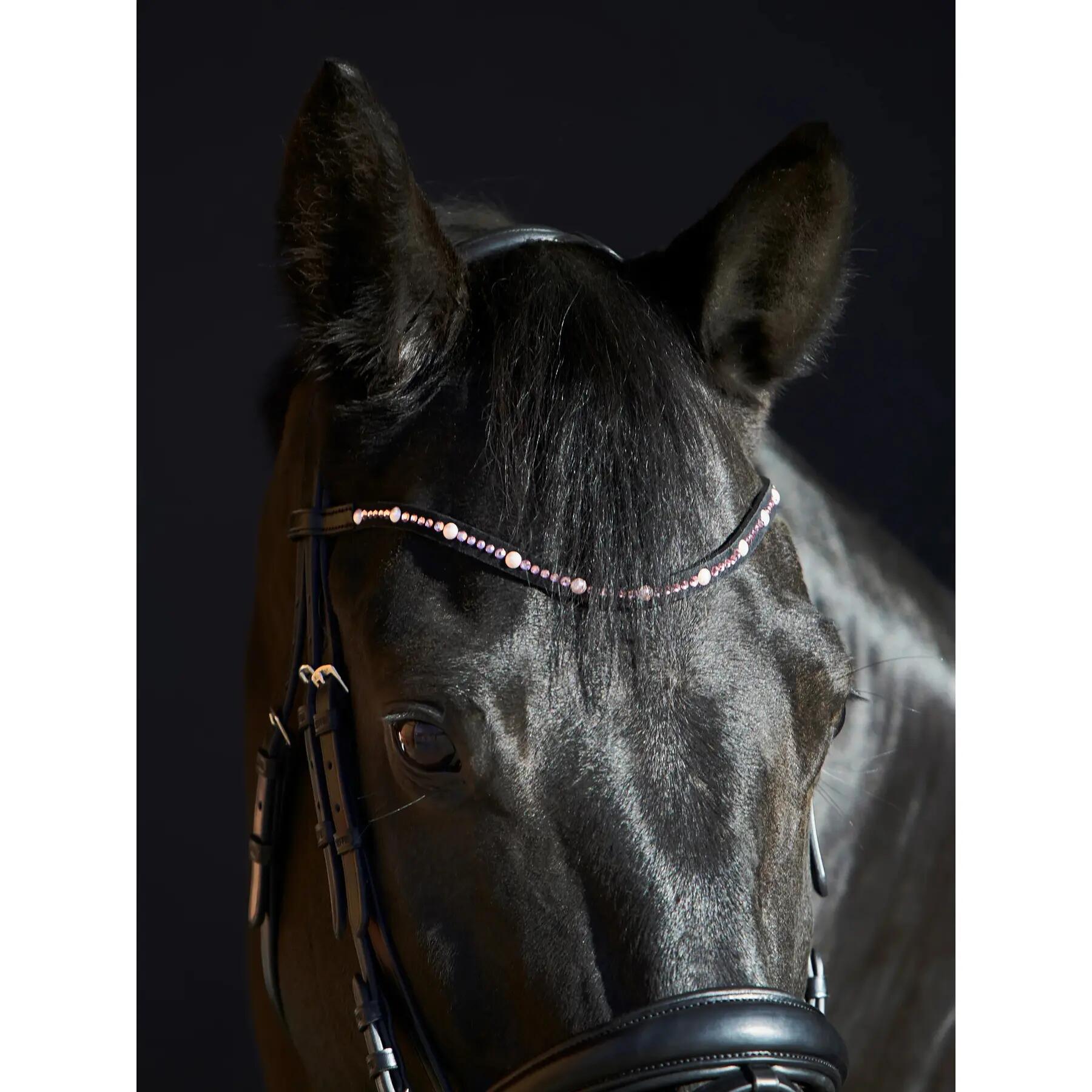 Bridon équitation Kieffer Priya browband with pink ultrashine crystals + pearls 3/5