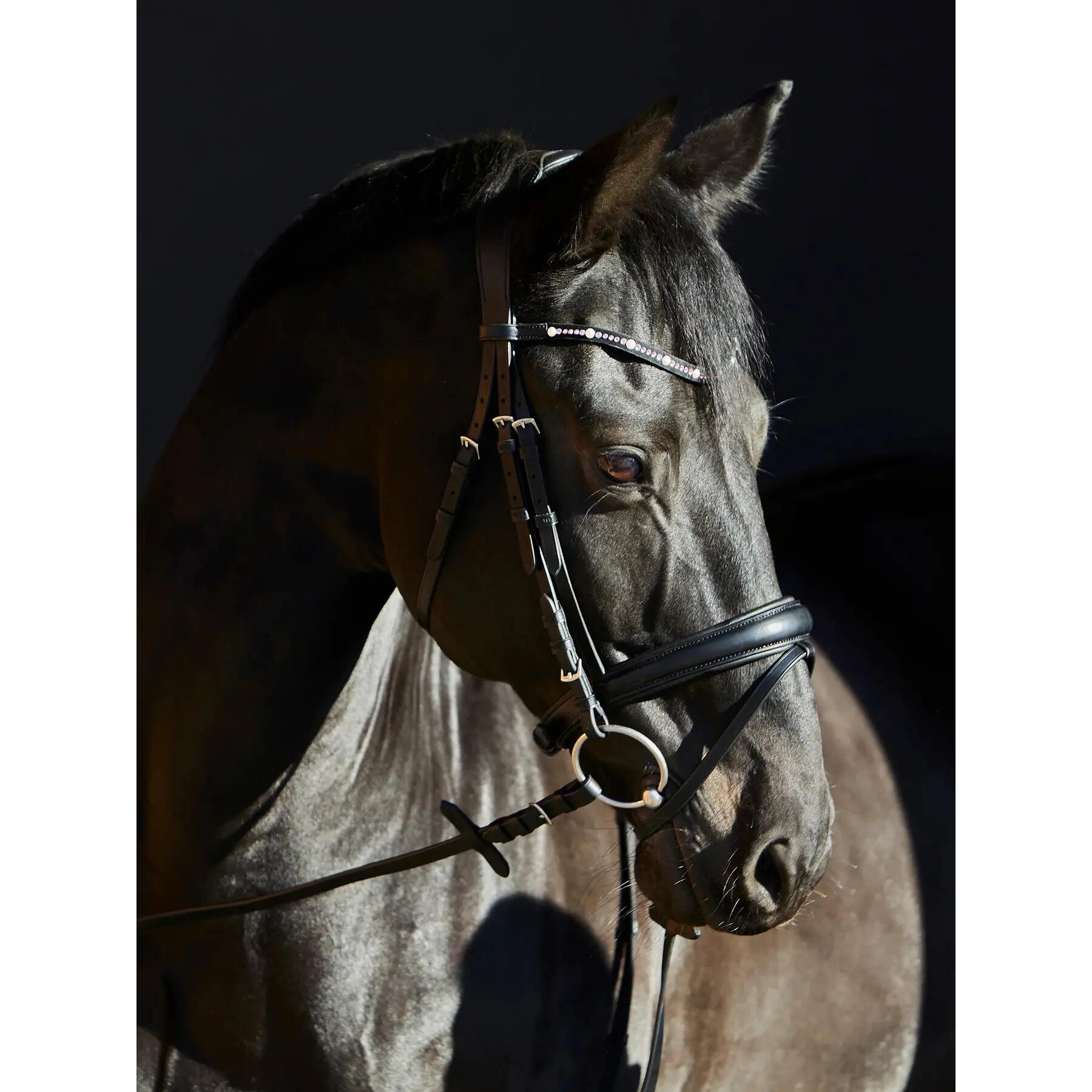 Bridon équitation Kieffer Priya browband with pink ultrashine crystals + pearls 2/5