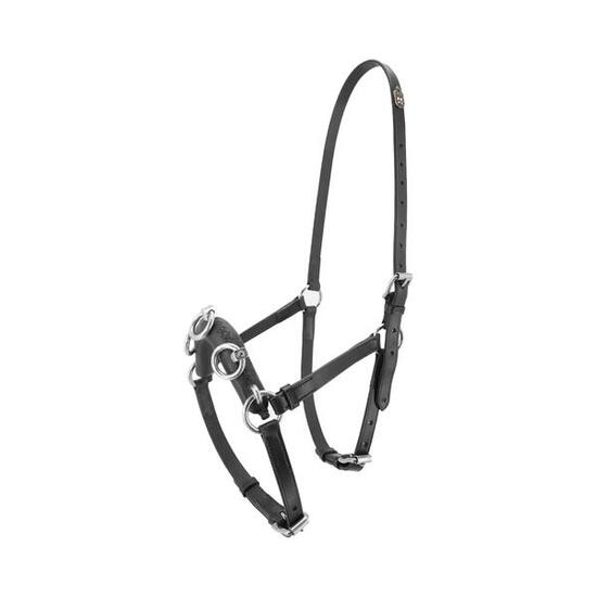 Caveçon pour cheval Kieffer Perfect