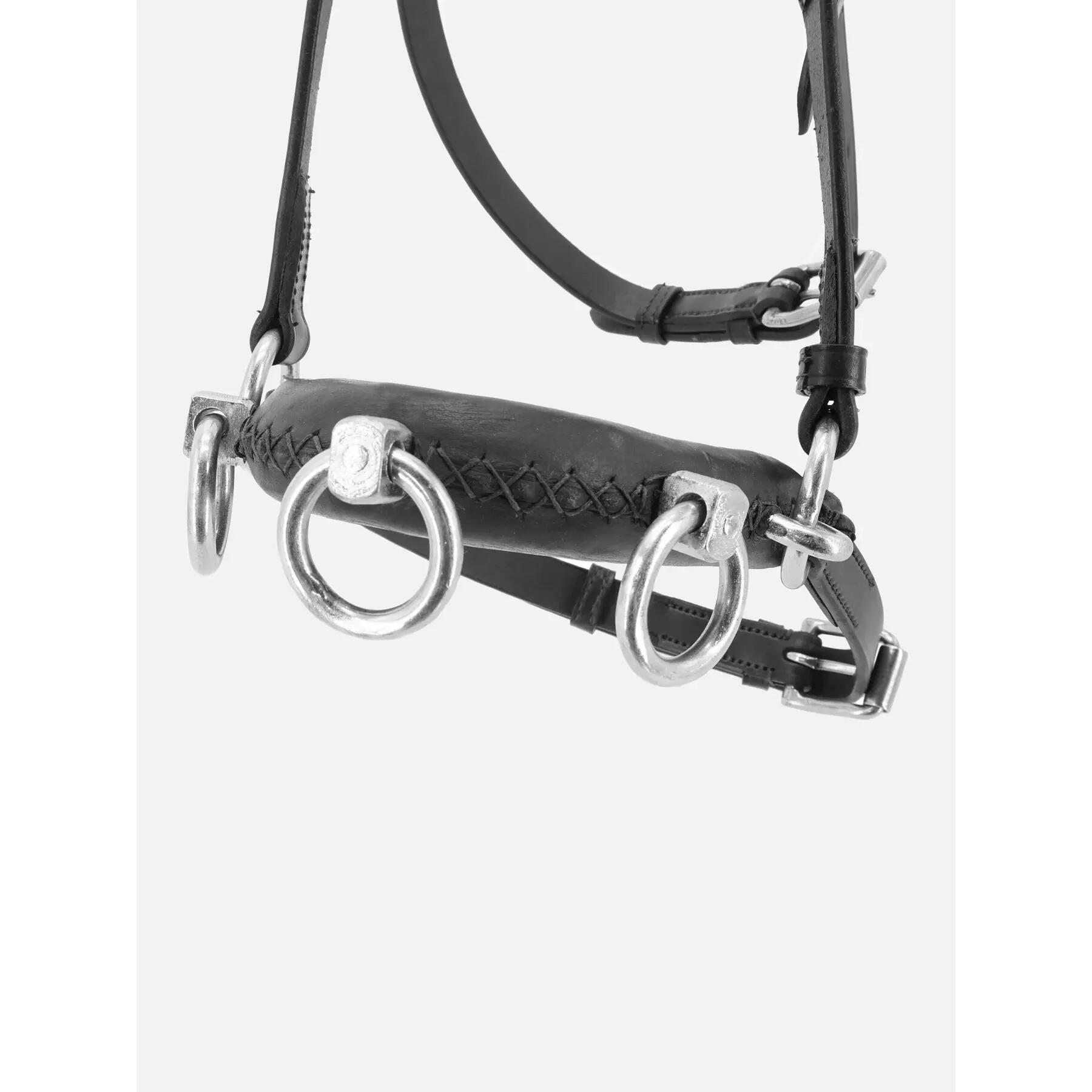 Caveçon pour cheval Kieffer Perfect 4/4